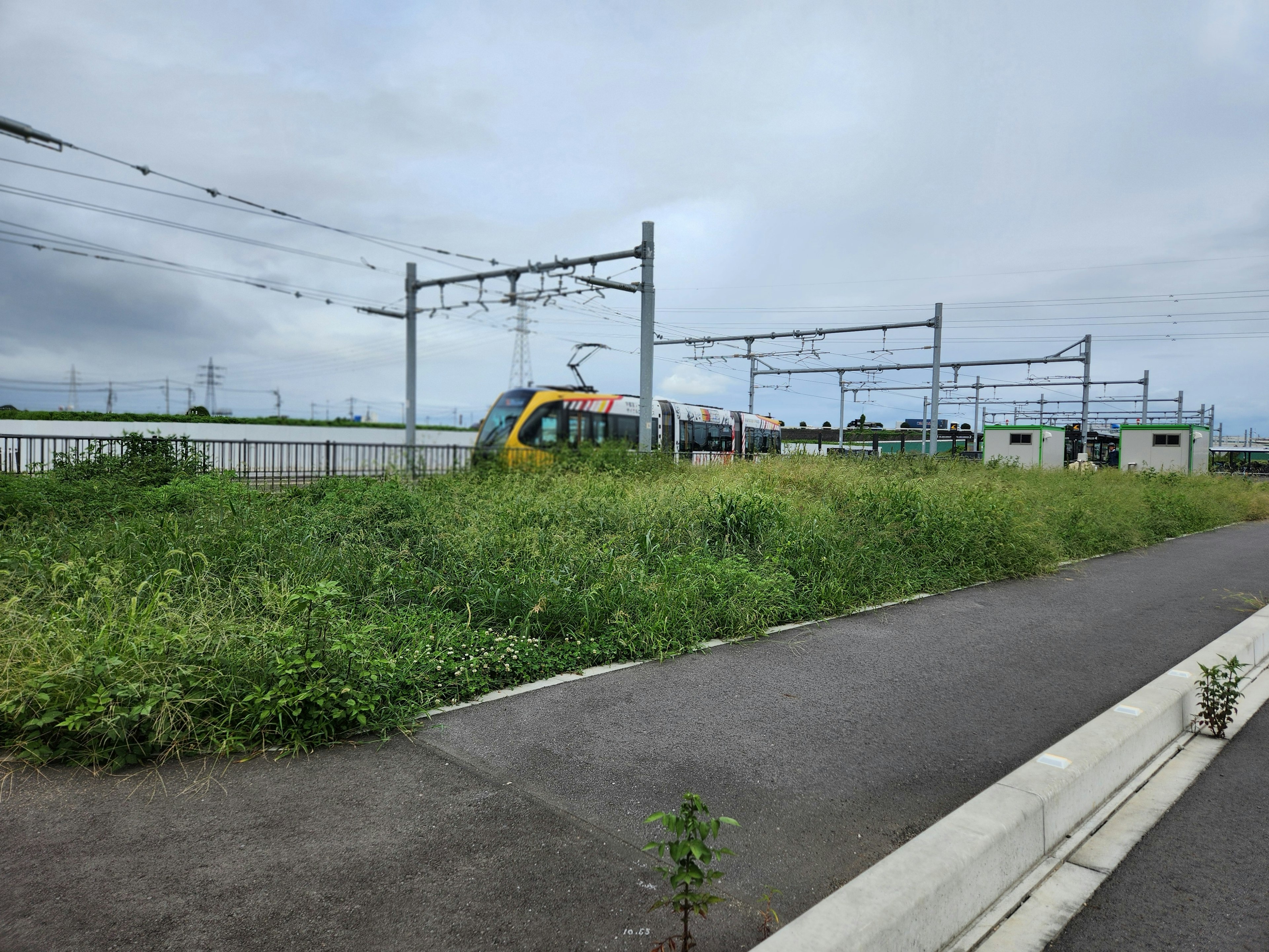 緑の草が生えた線路と電車の風景