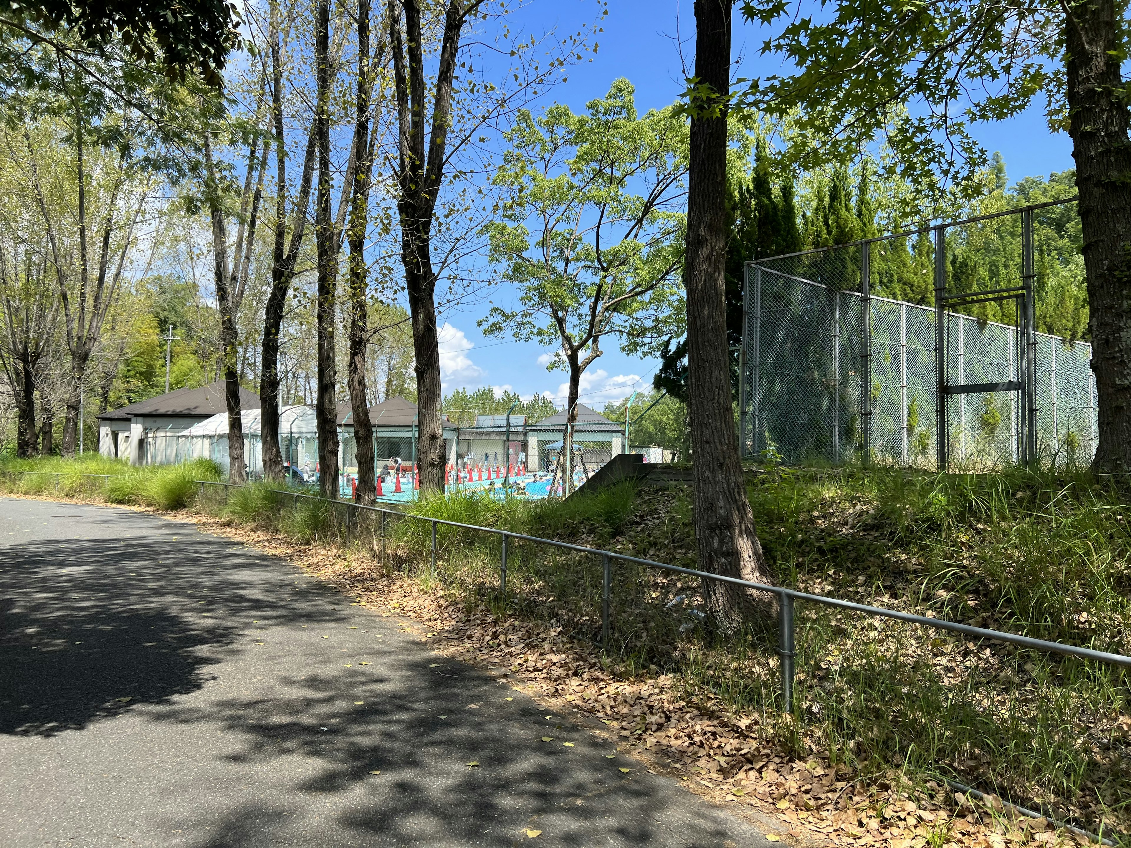 道路沿いにある公園の風景、緑豊かな木々と青空が見える