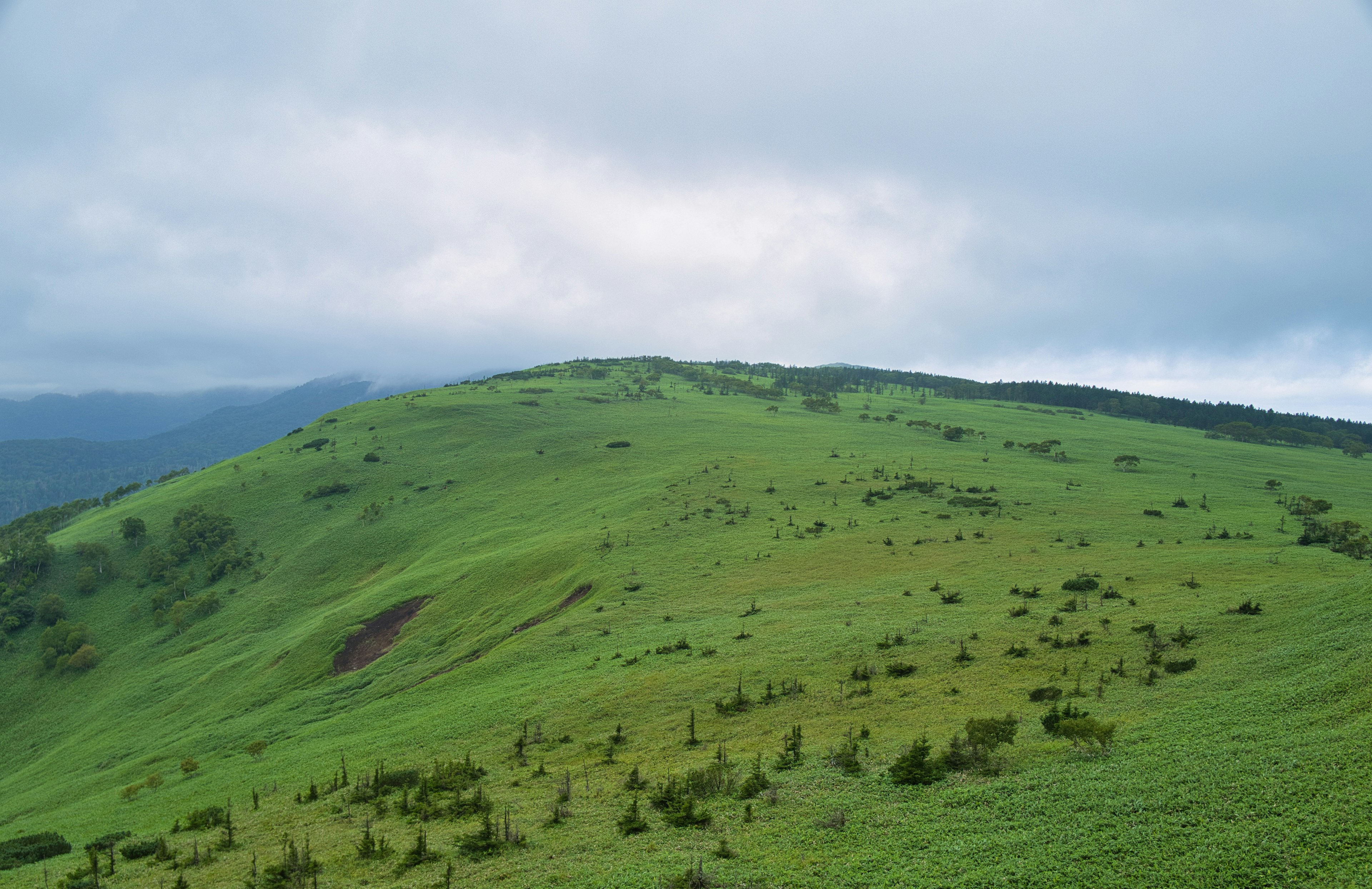 Collines verdoyantes sous un ciel nuageux