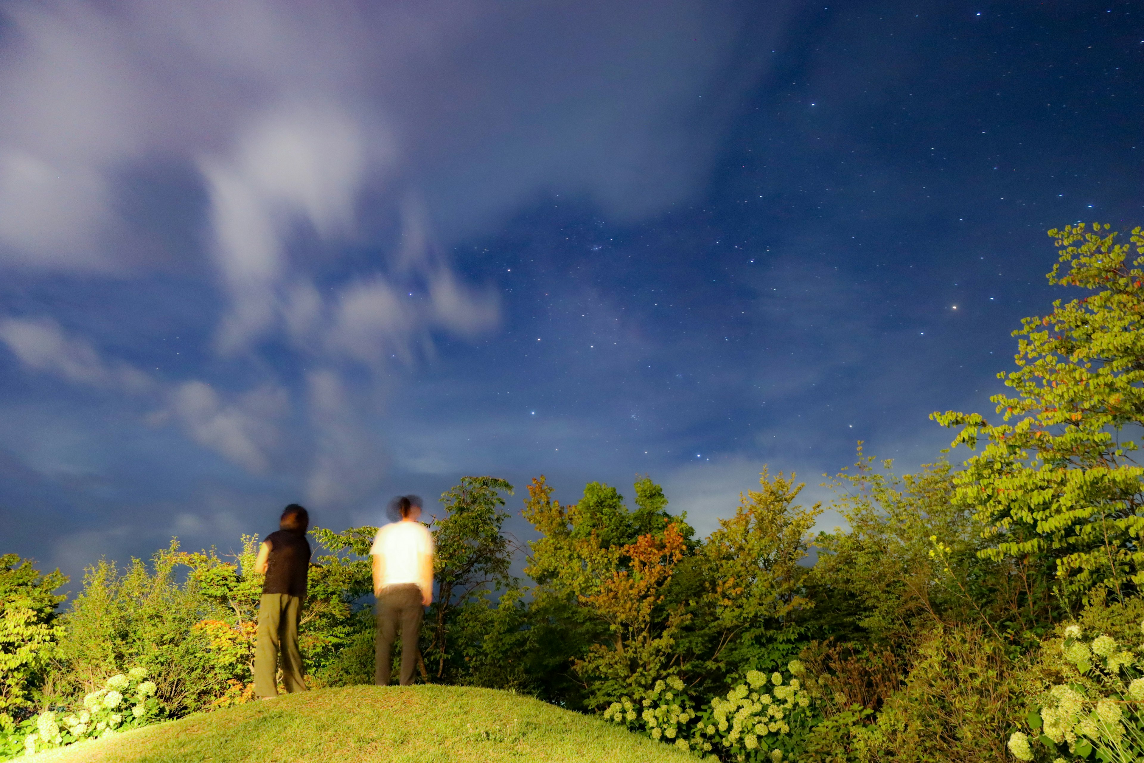 Deux personnes regardant le ciel étoilé avec des arbres verts