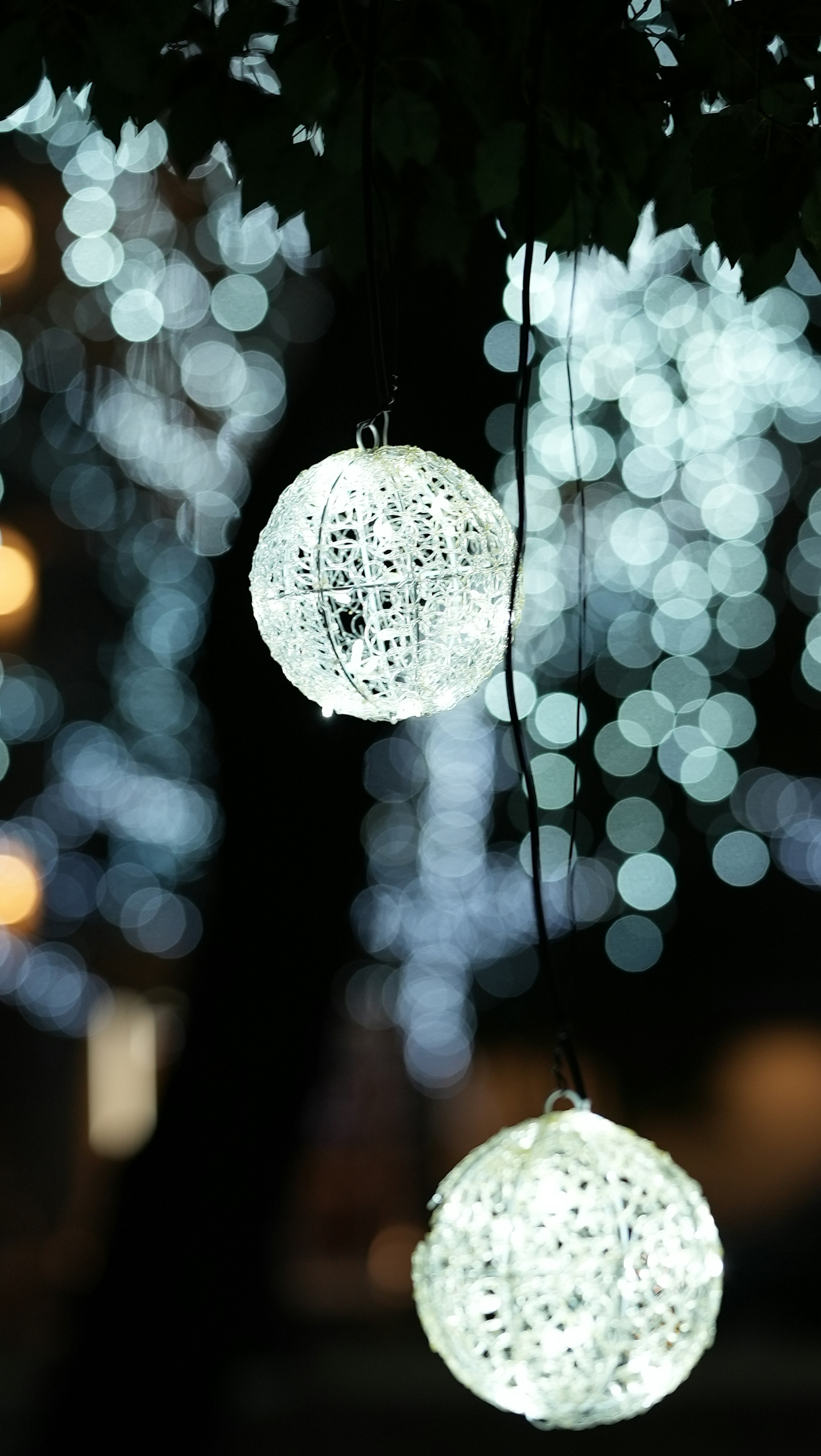 White lanterns hanging from a tree with a blurred blue light background