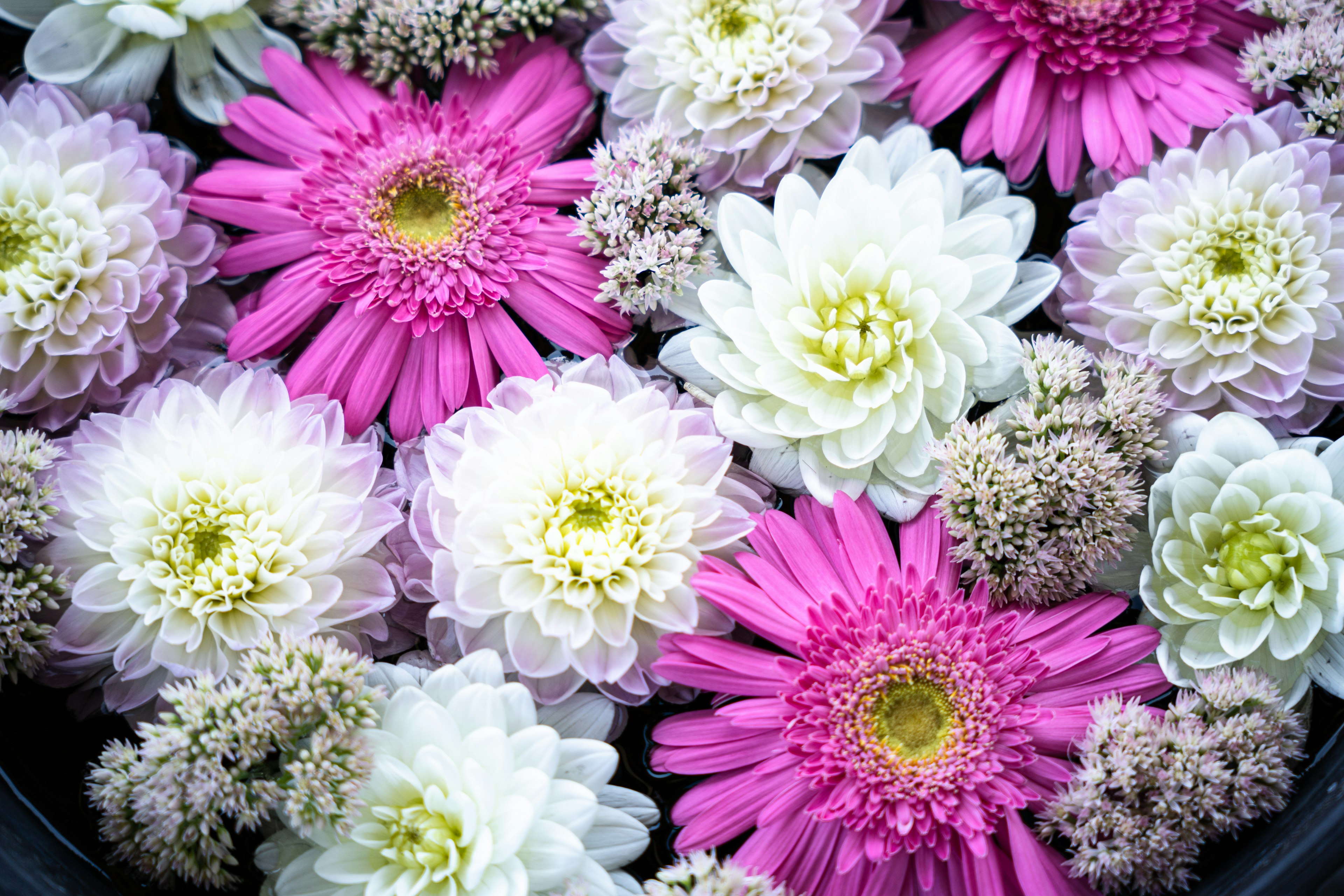 Schöne Anordnung von bunten Blumen einschließlich rosa und weißen Sorten