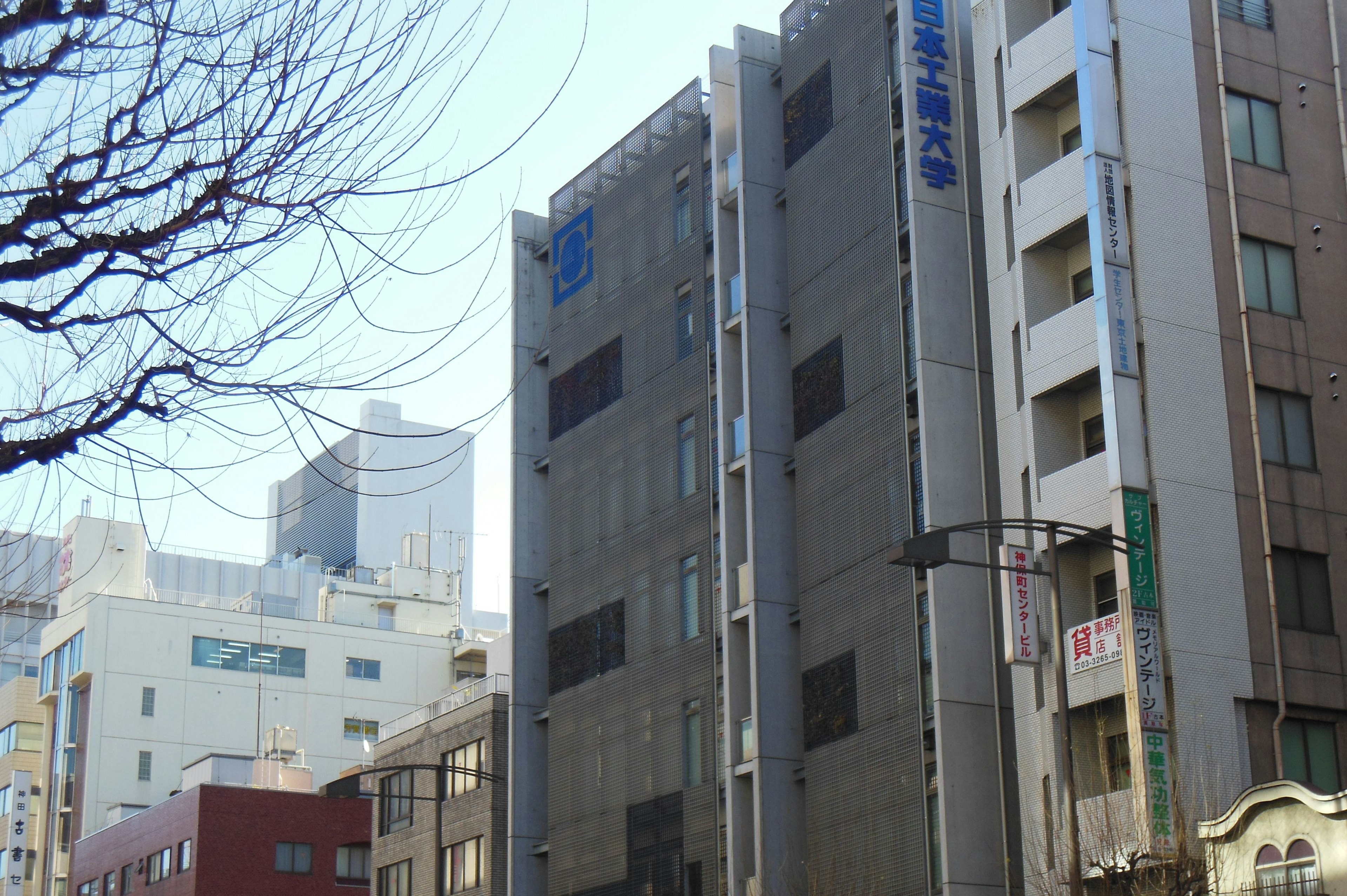 Urban landscape featuring building facades