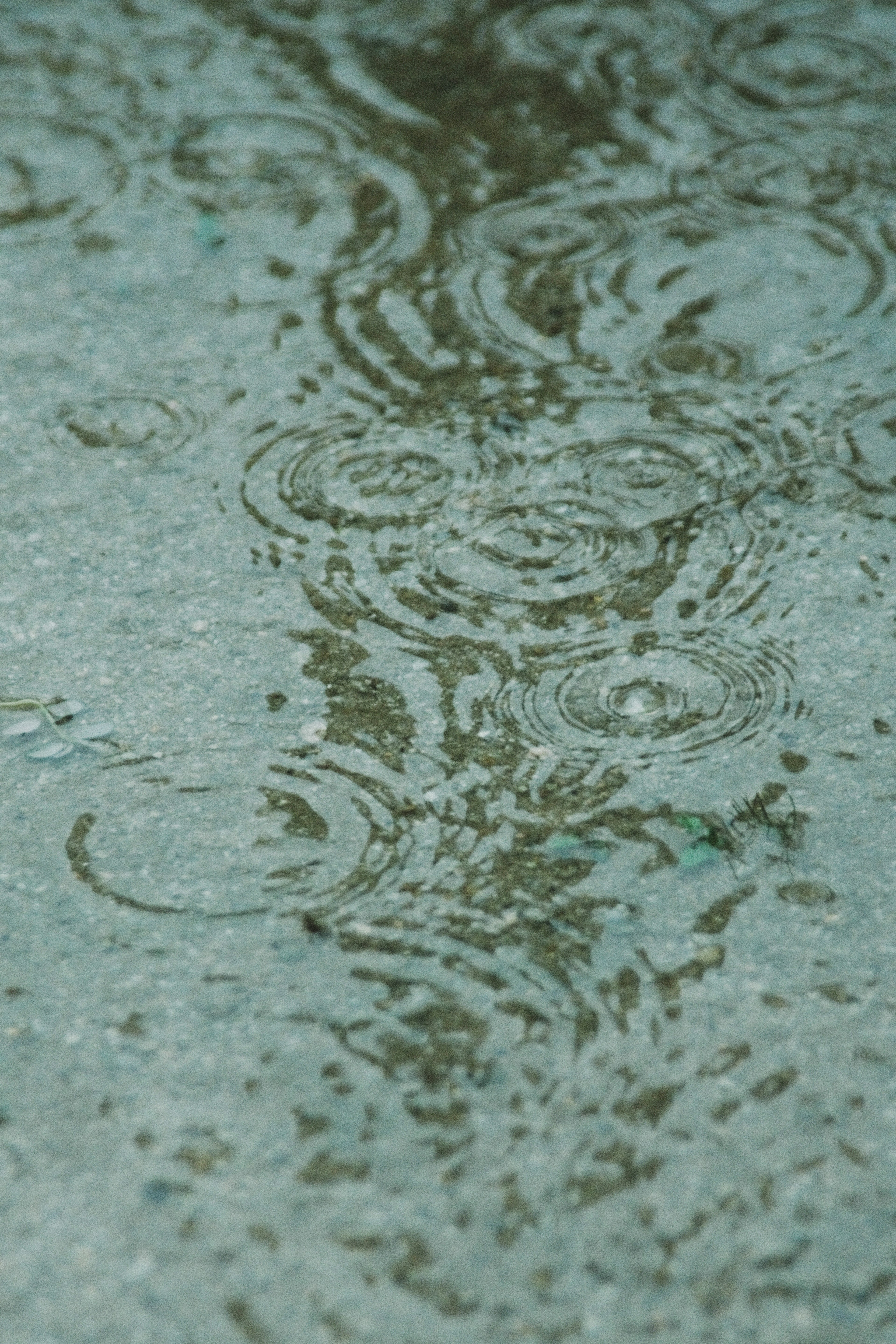 雨が降っている地面にできた水たまりの波紋と反射