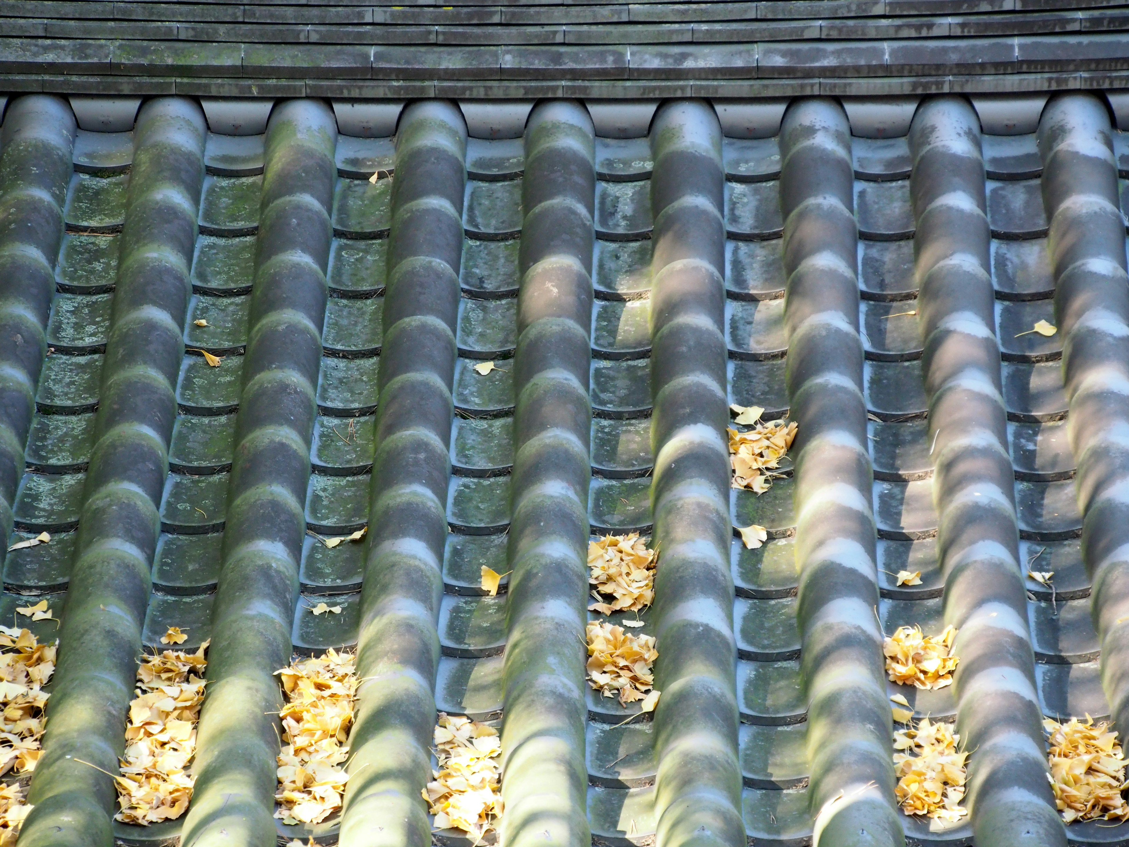 Dachziegel mit verstreuten gelben Blättern und geflecktem Sonnenlicht