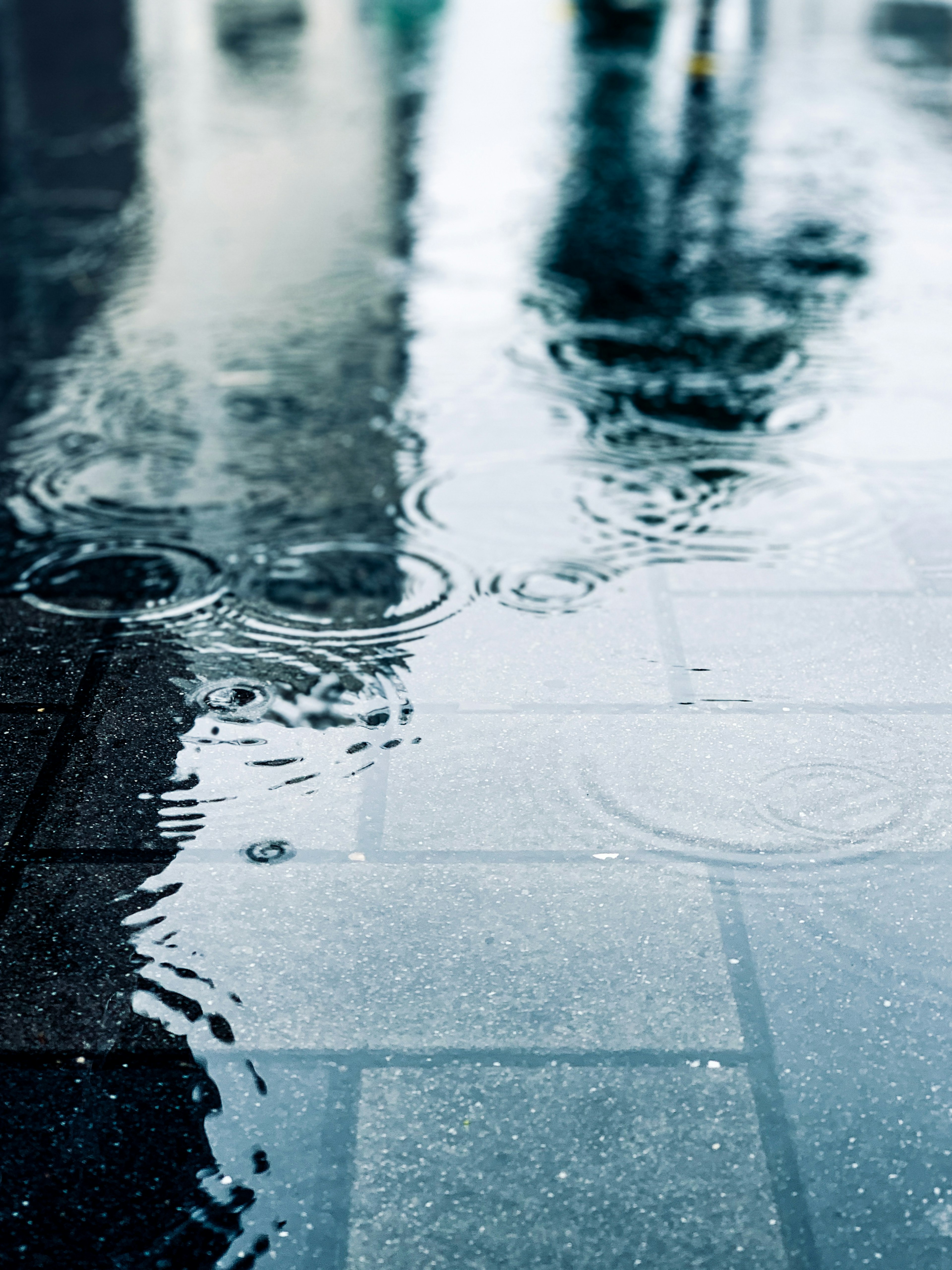 Puddle on a pavement reflecting the surrounding environment after rain