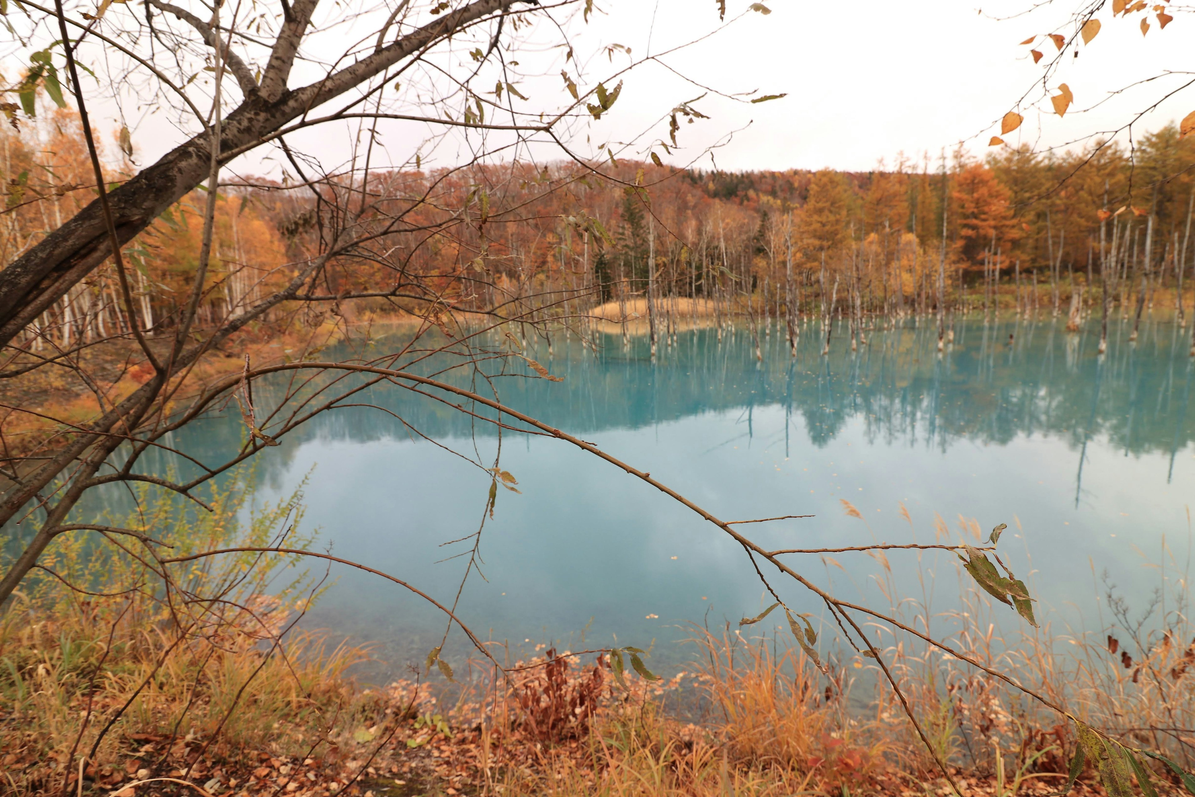 Pemandangan danau di musim gugur dengan air biru cerah dan pepohonan di sekitarnya