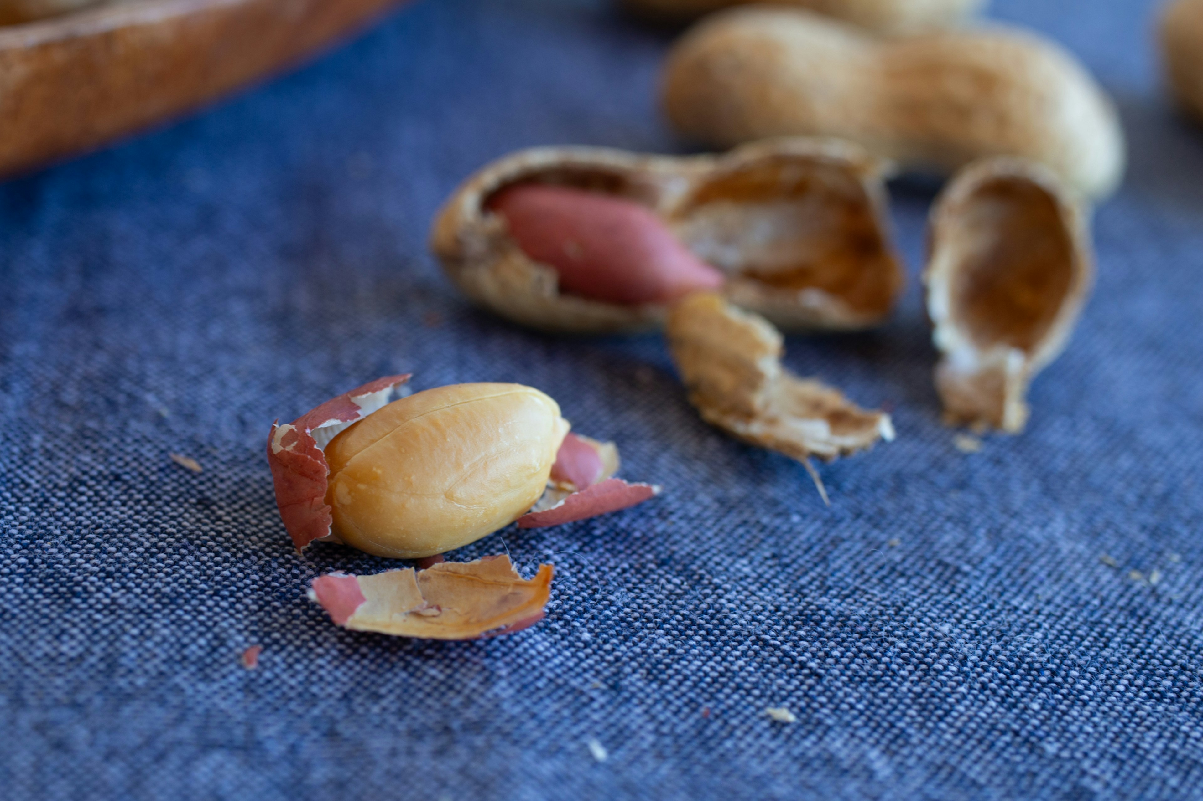 Close-up cangkang dan biji kacang tanah