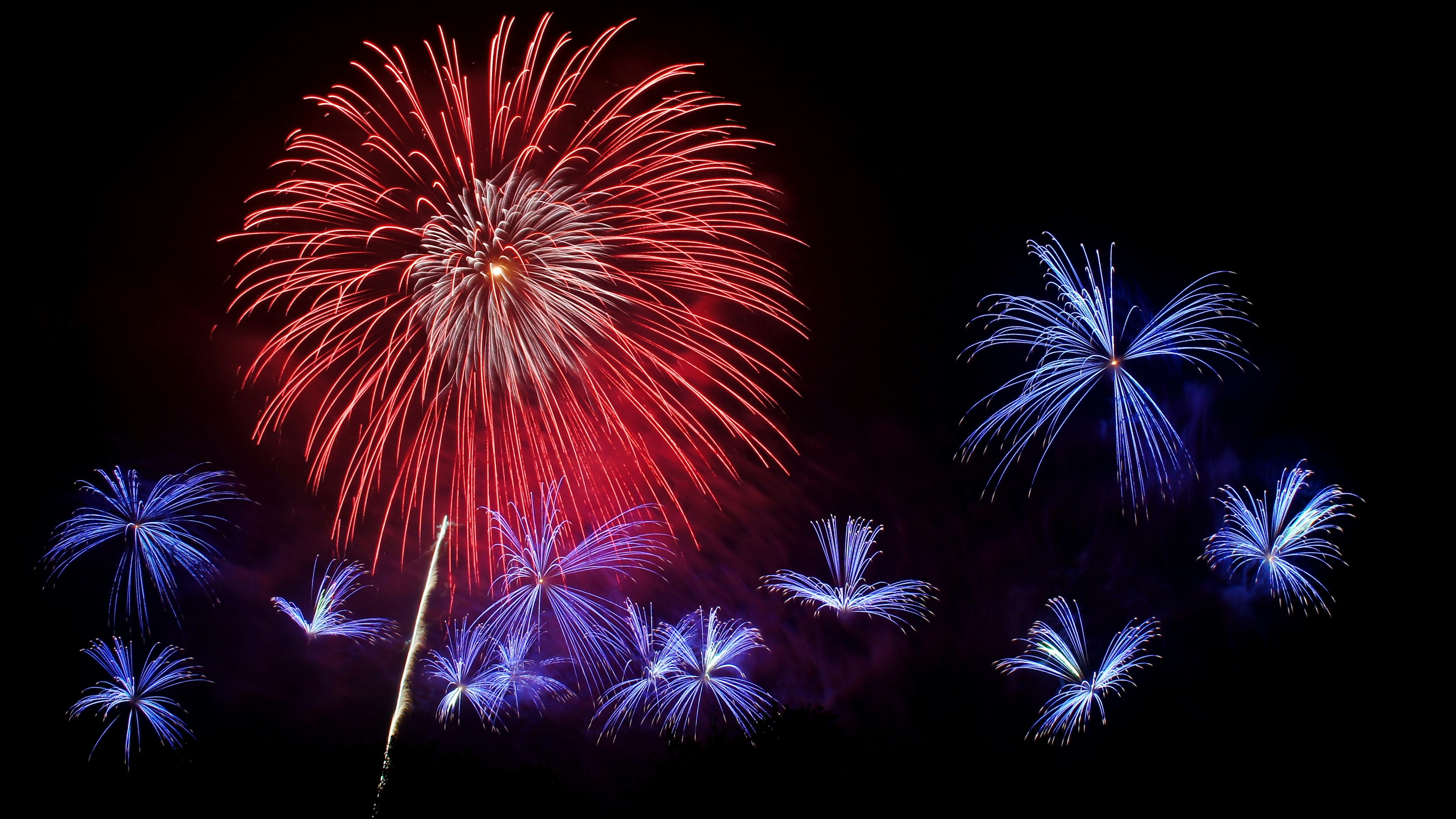 Spettacolo di fuochi d'artificio colorati nel cielo notturno con esplosioni rosse e blu