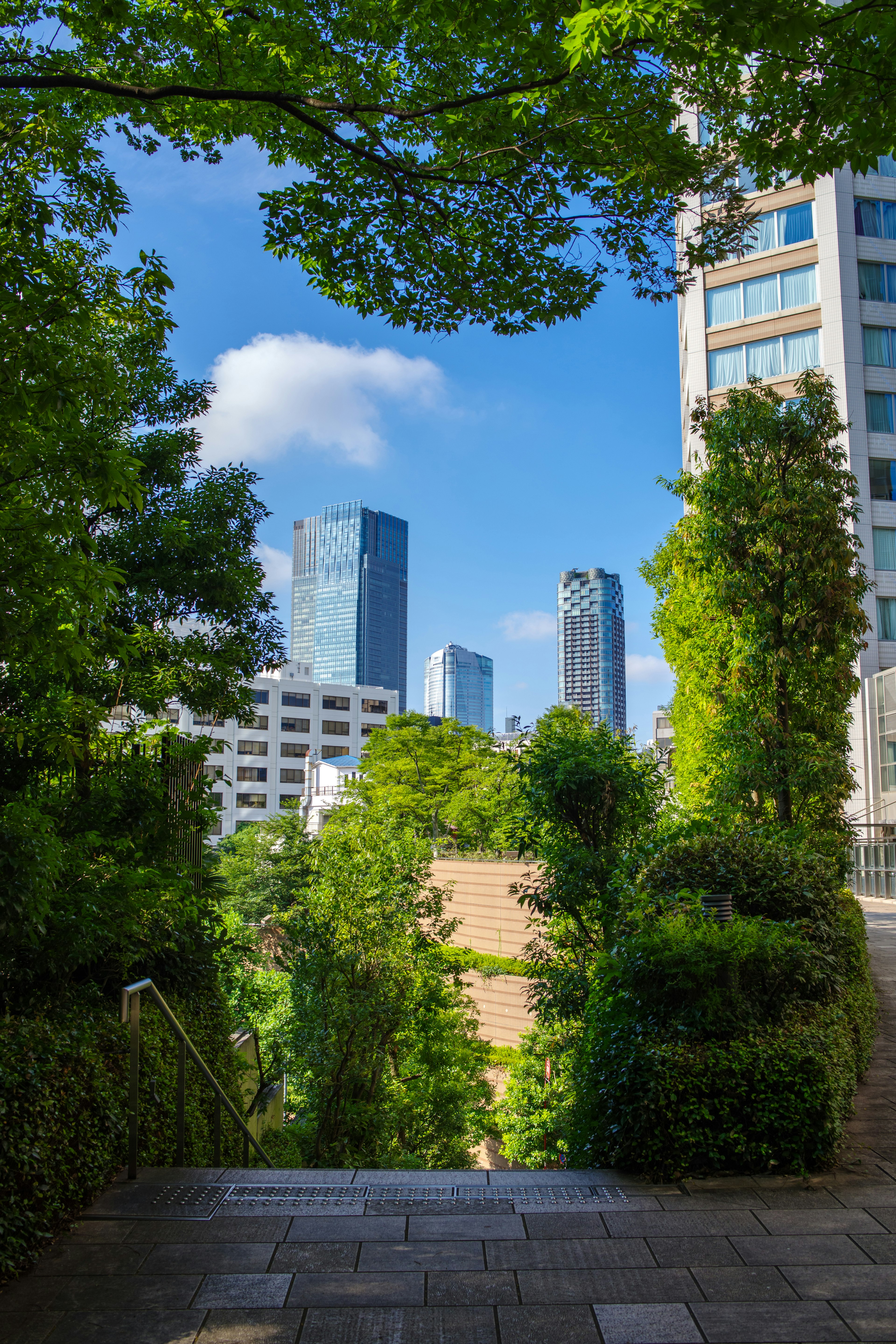 Urban landscape surrounded by green trees featuring skyscrapers and blue sky