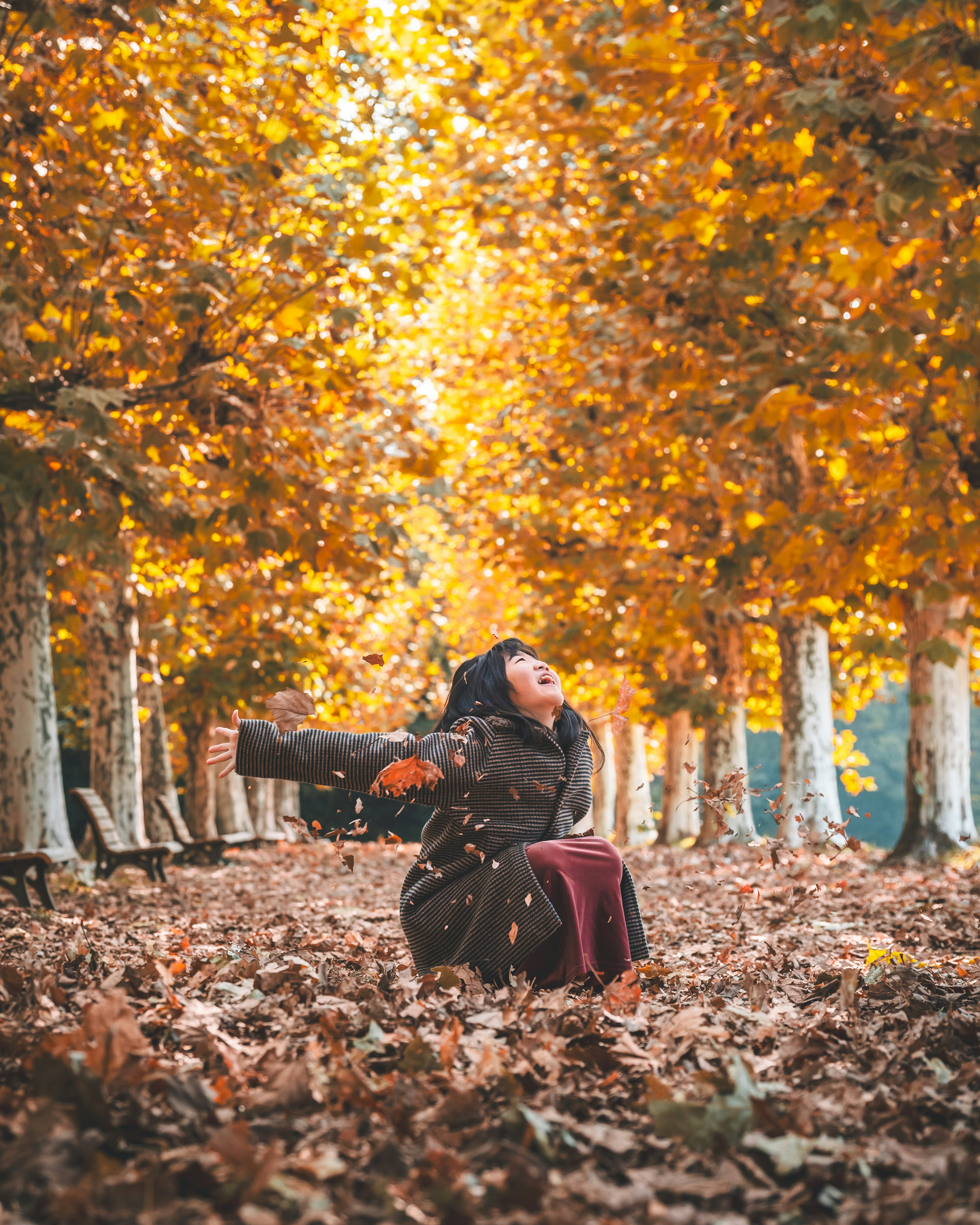 Femme profitant de l'automne dans une forêt d'arbres dorés