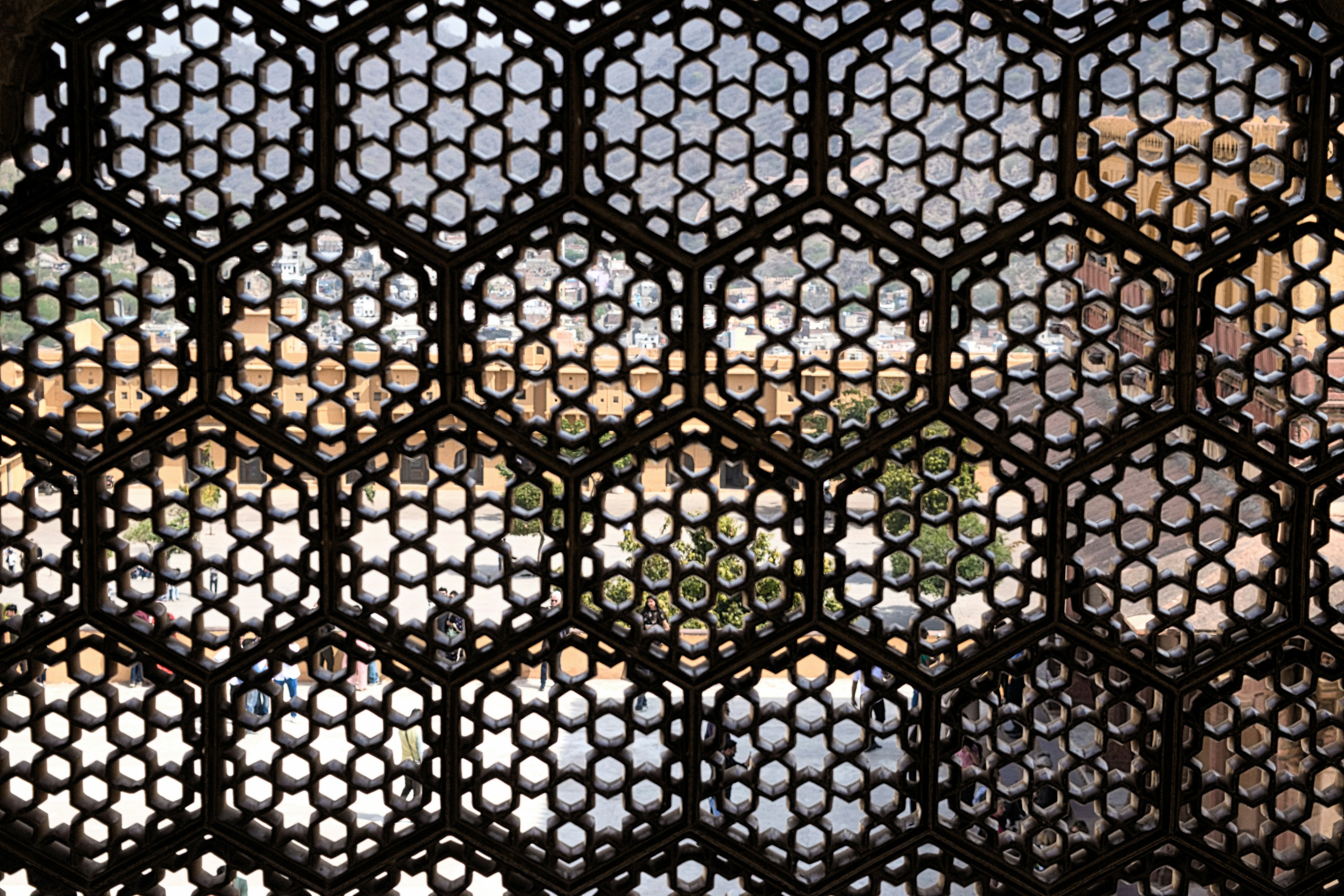 Decorative black lattice window revealing a blurred landscape