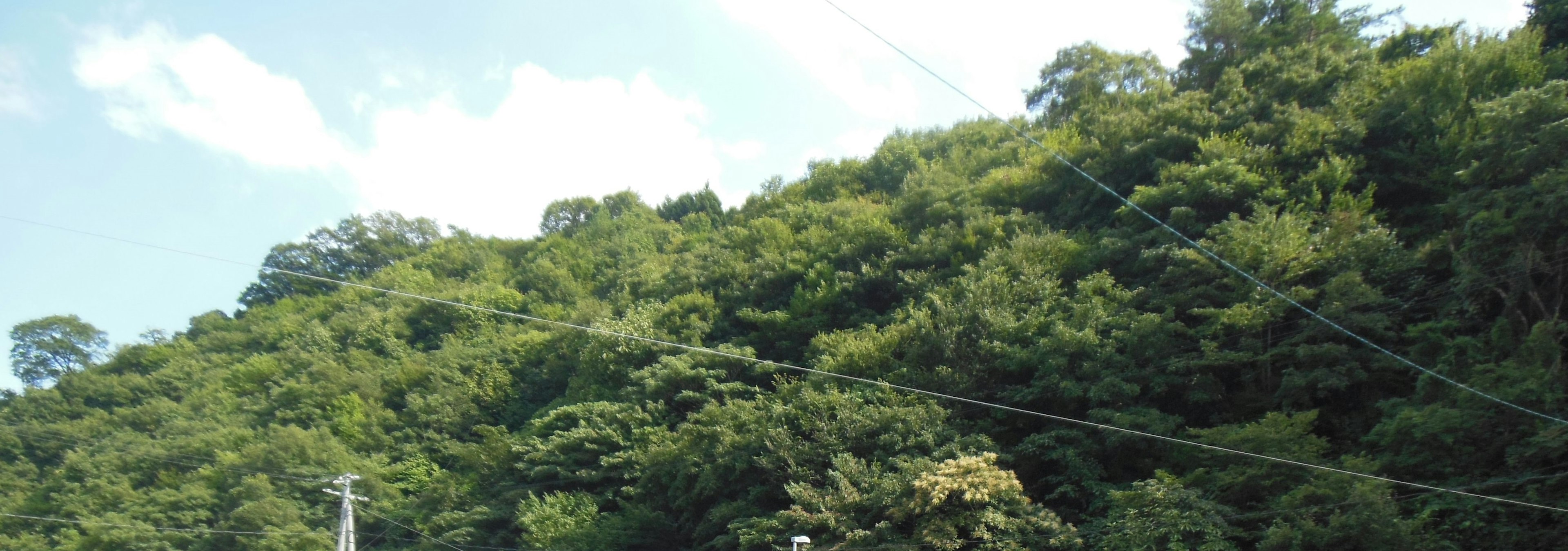 Lush green hills covered with dense trees under a blue sky