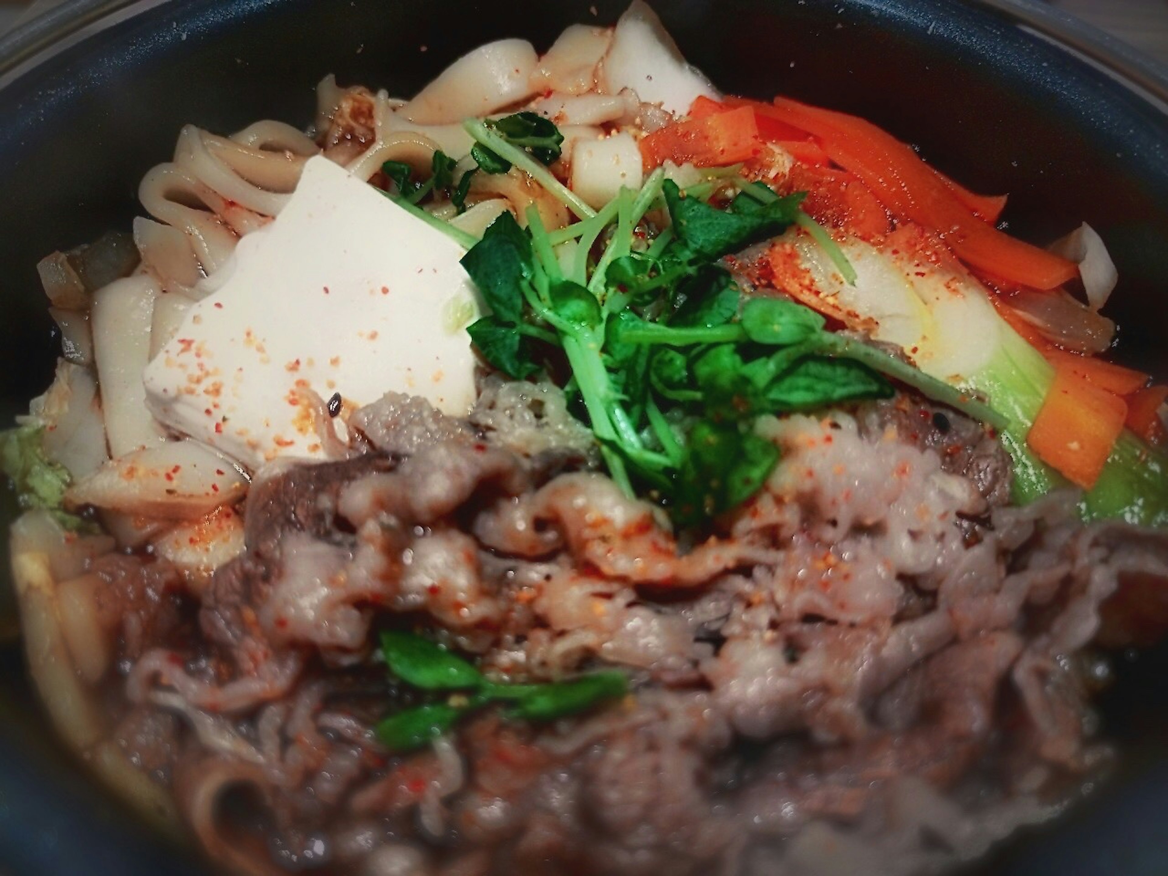 Eine Schüssel Udon-Nudeln mit Fleisch, Tofu und Gemüse