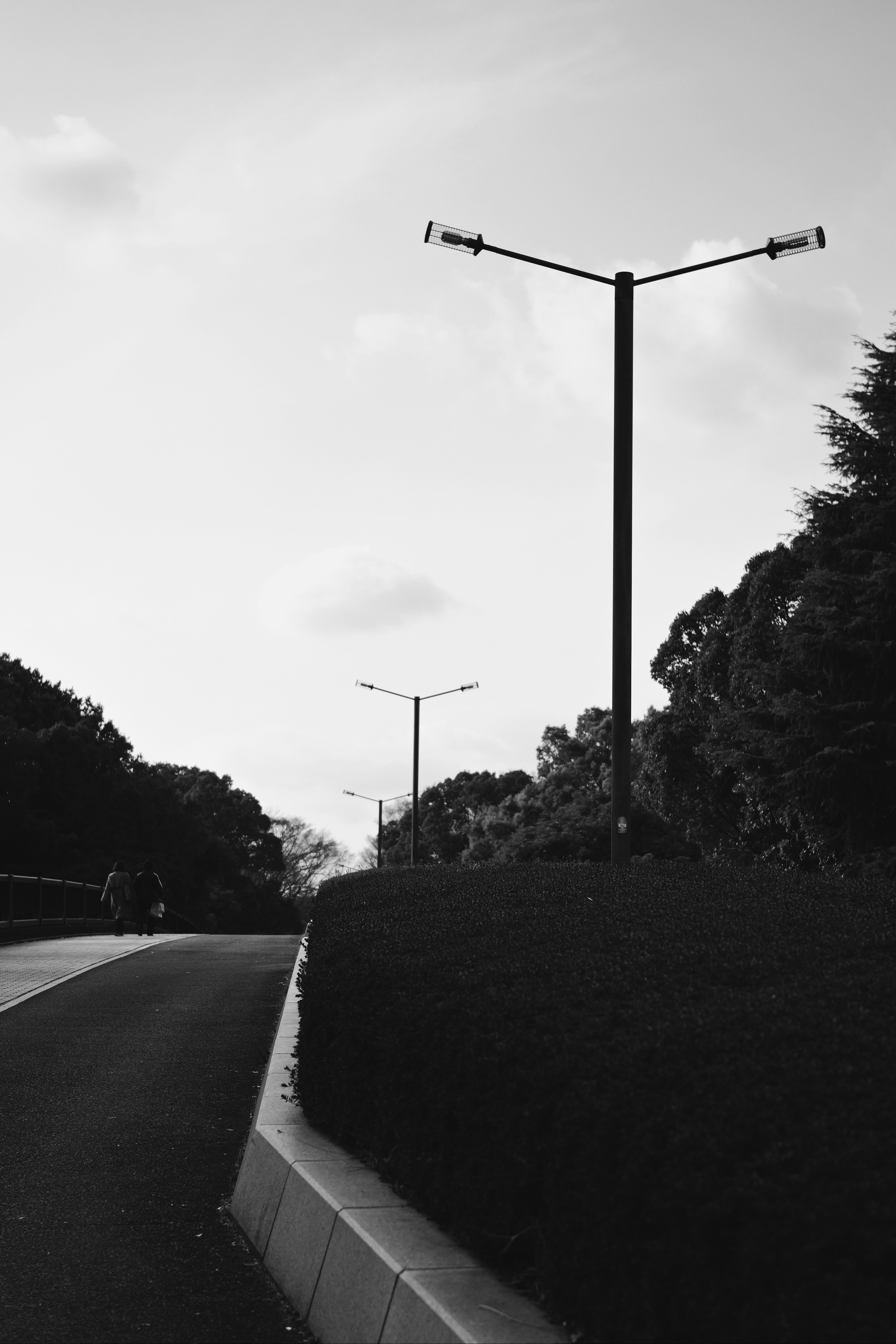 Black and white image of a quiet road with streetlights and greenery