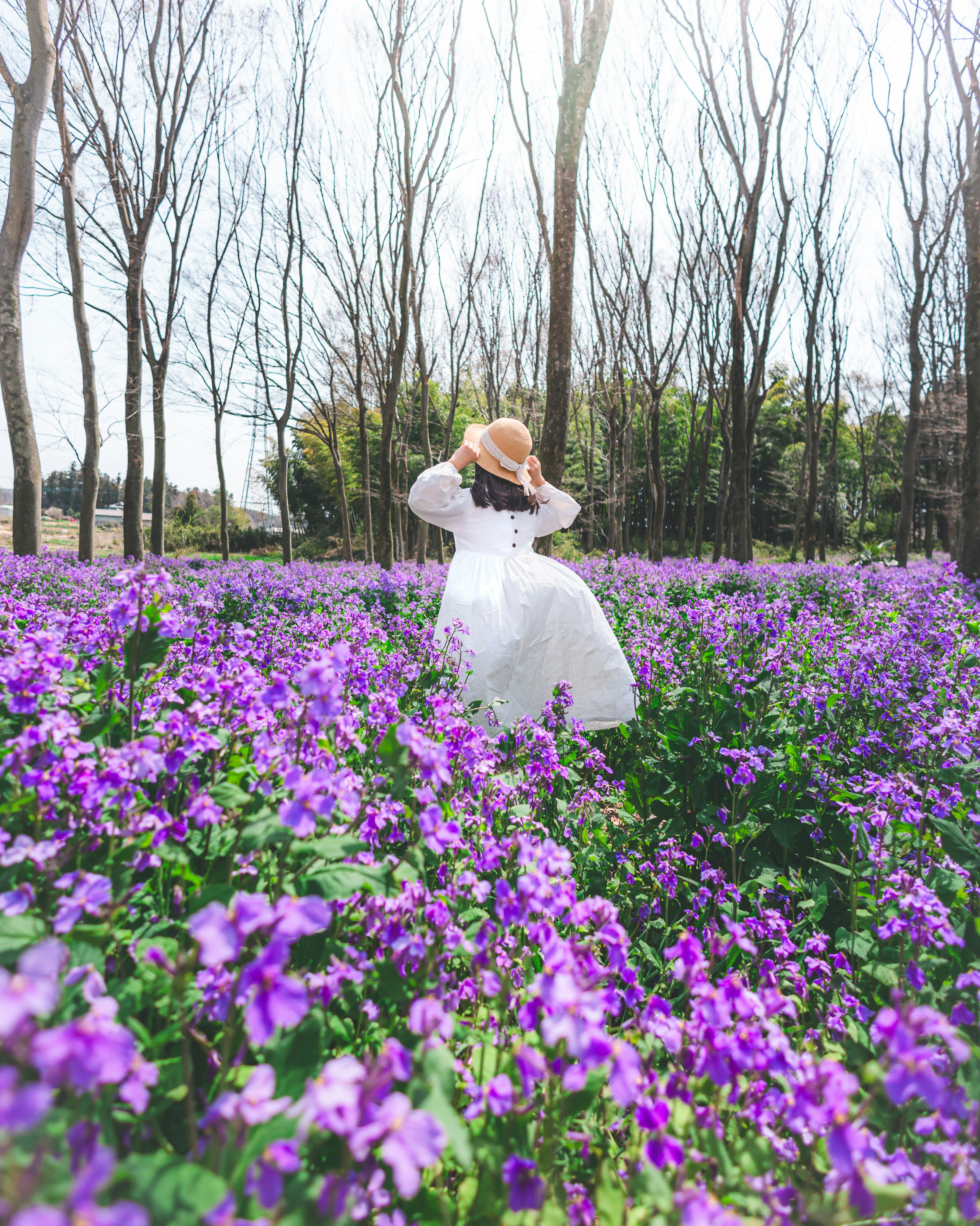 Eine Frau in einem weißen Kleid, die einen Hut hält, steht zwischen lila Blumen