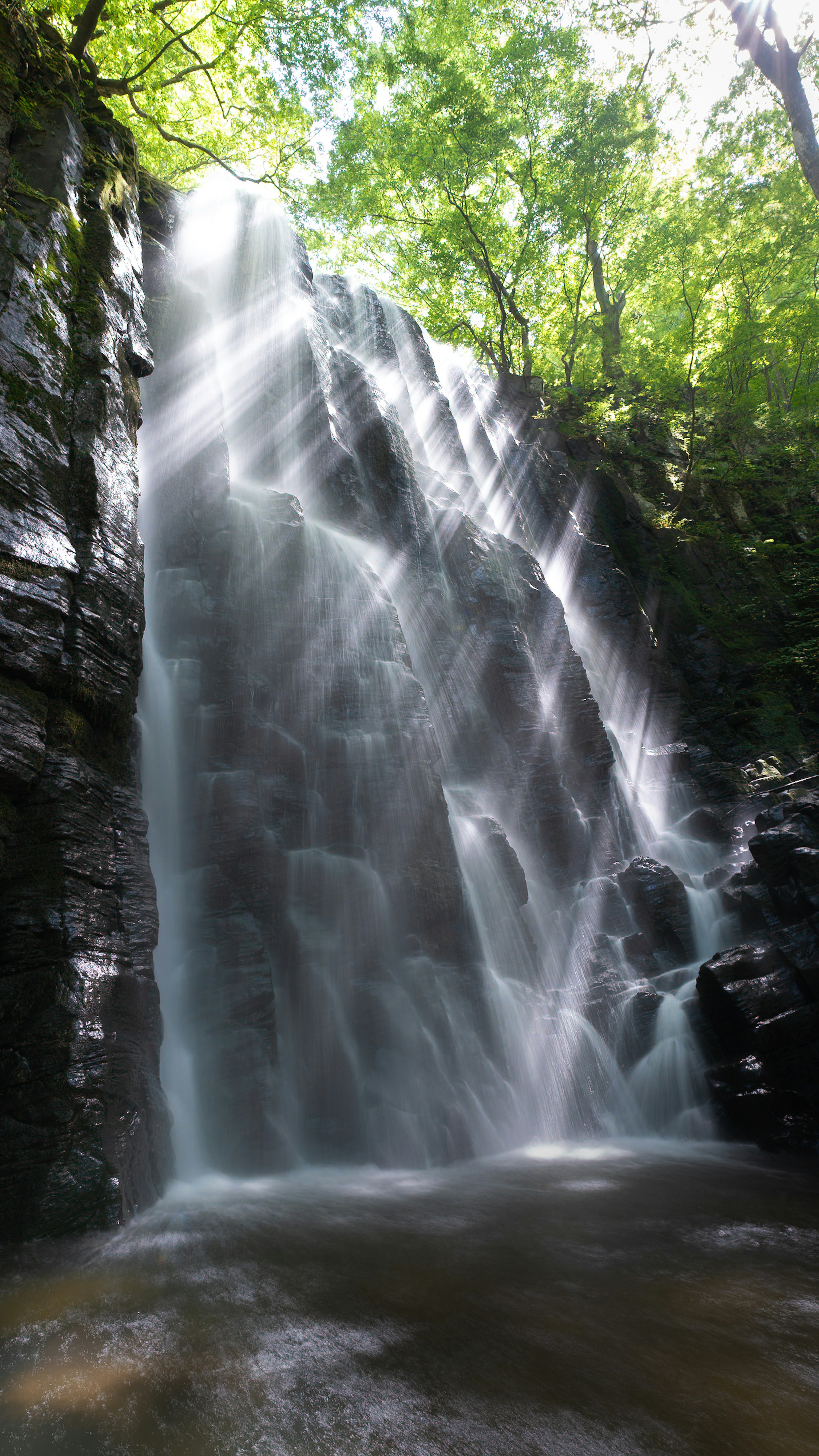 Belle cascade entourée de verdure eau coulant sur des rochers