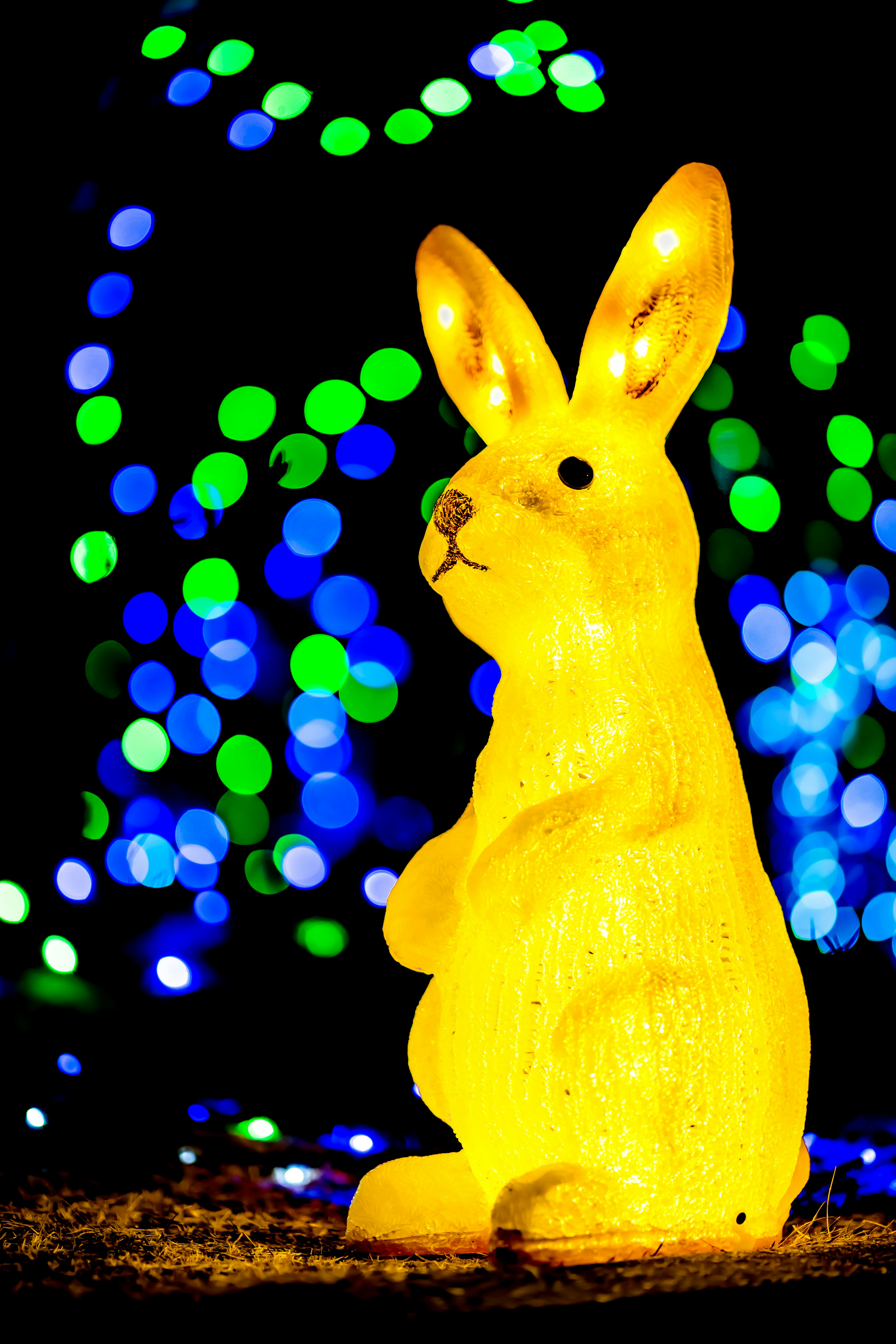 Una figura de luz de conejo amarillo de pie frente a un fondo borroso de luces azules y verdes