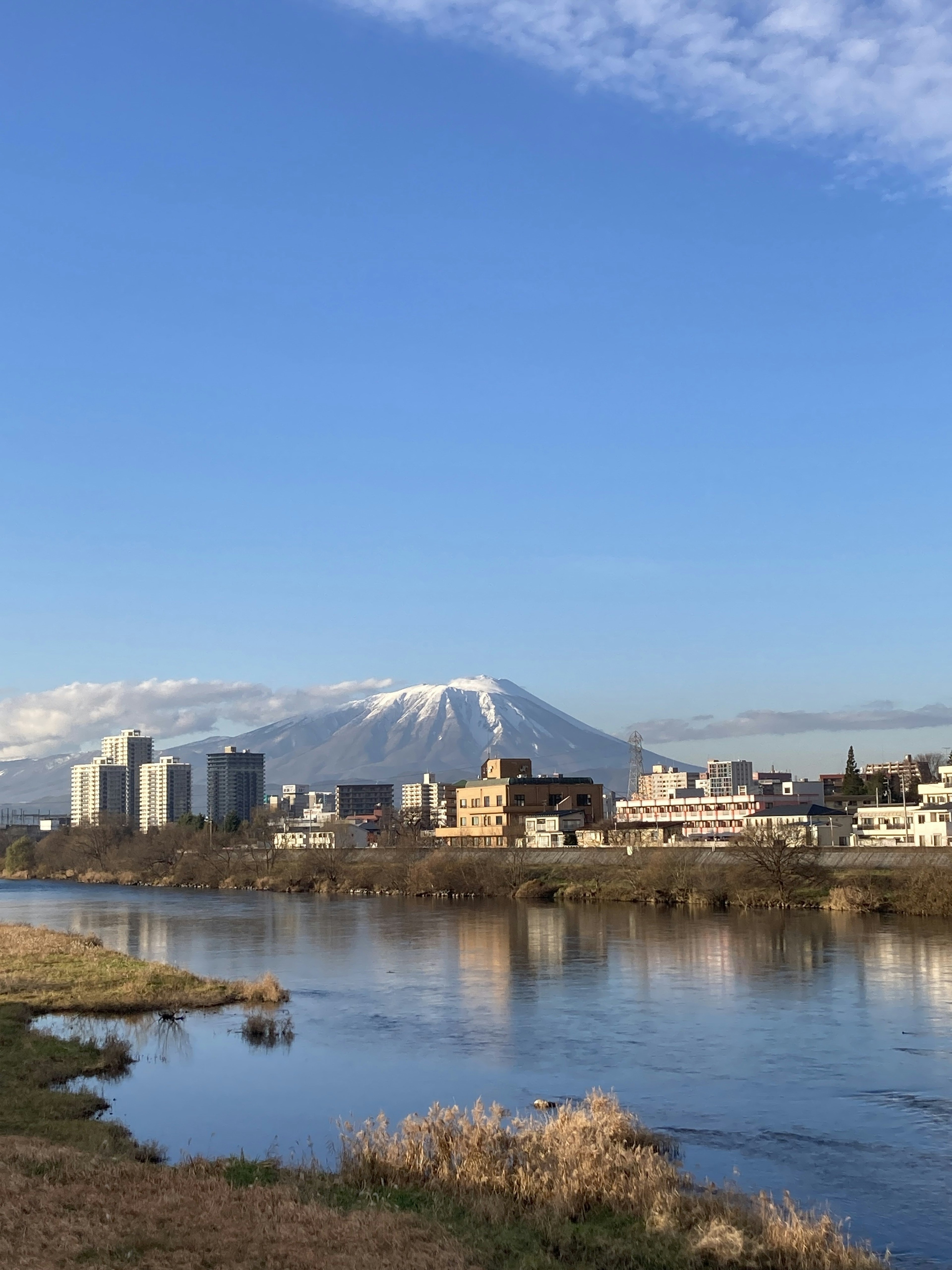 City skyline with snow-capped mountain and river view