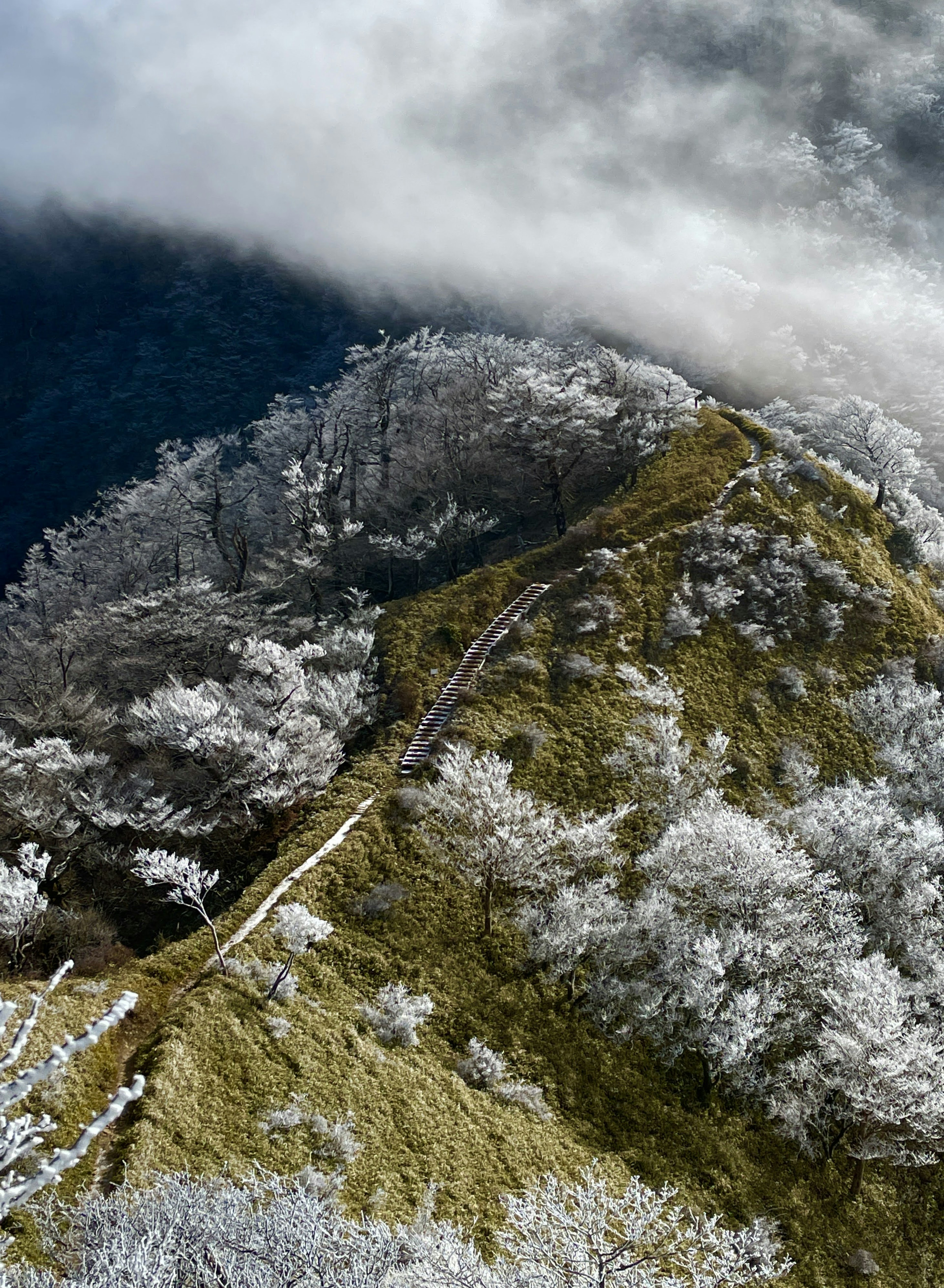 霧に包まれた山の頂上と緑の斜面が見える美しい風景