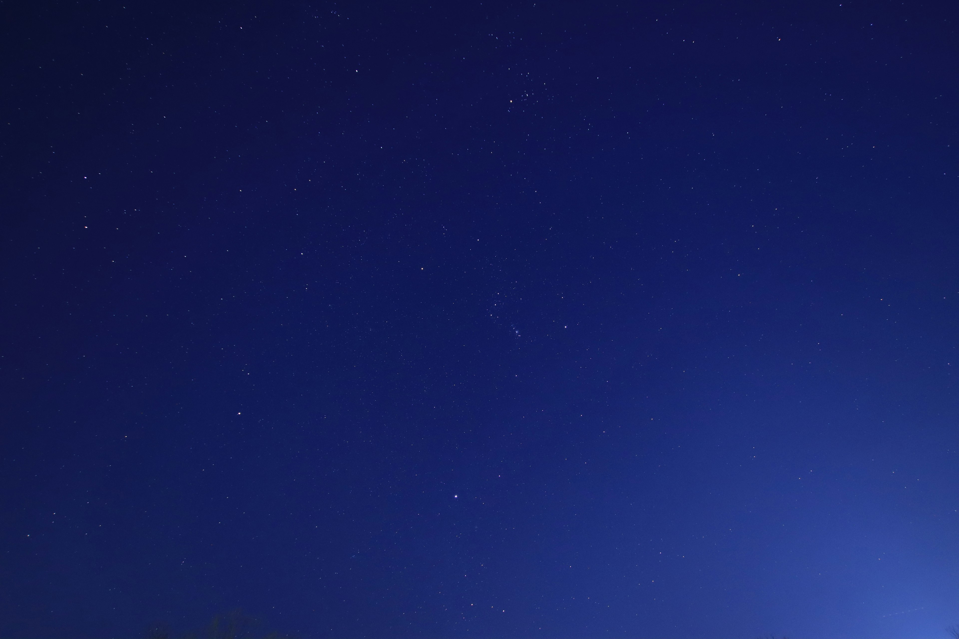 Un cielo notturno scuro pieno di stelle brillanti