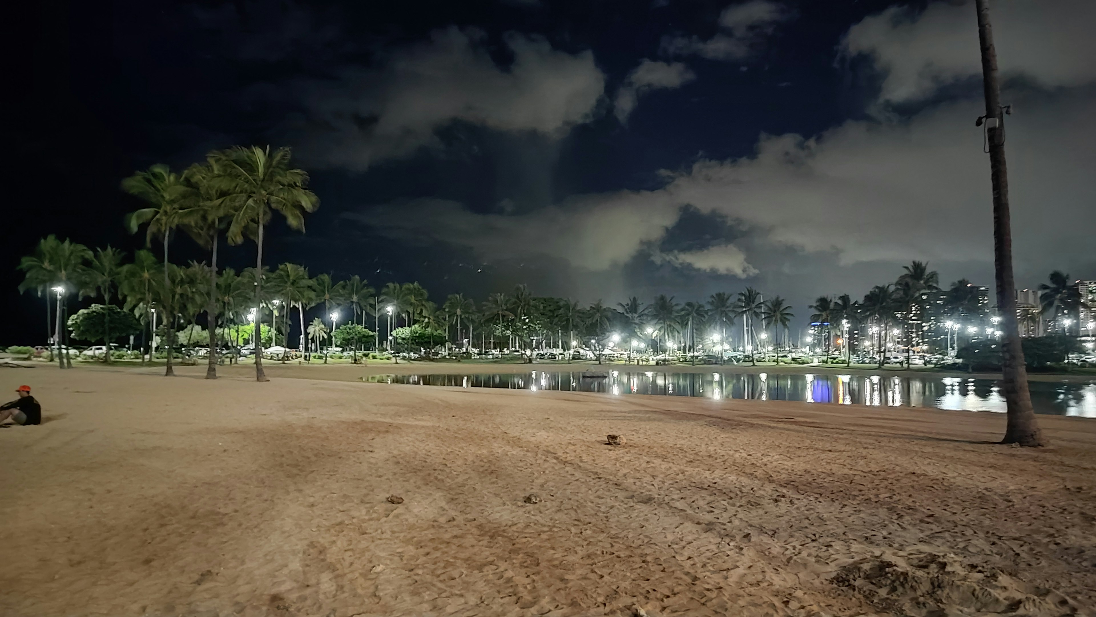 夜のビーチの風景、パームツリーと照明がある