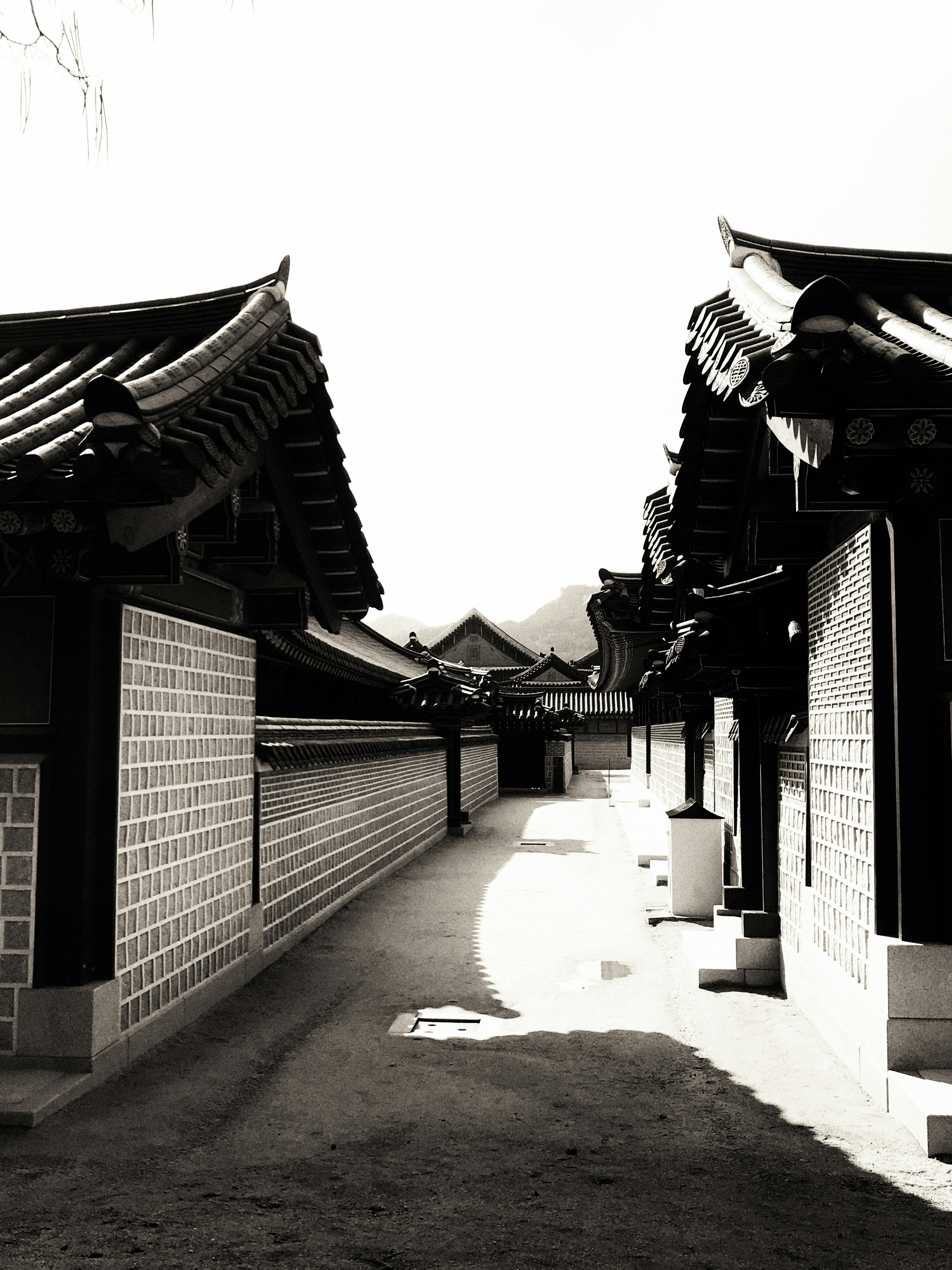 Quiet alleyway lined with traditional Korean houses