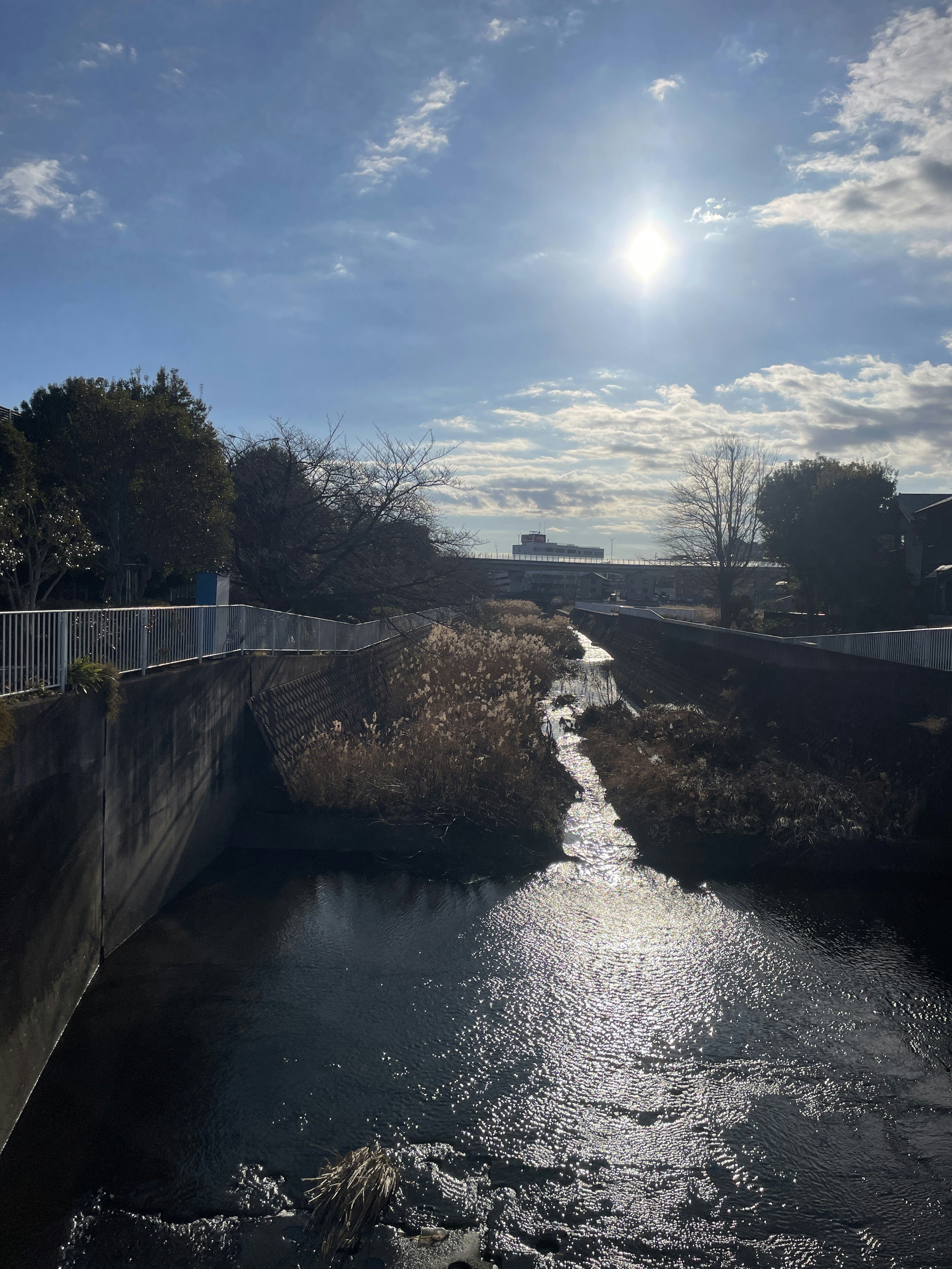 A scenic view of a river reflecting sunlight under a clear blue sky