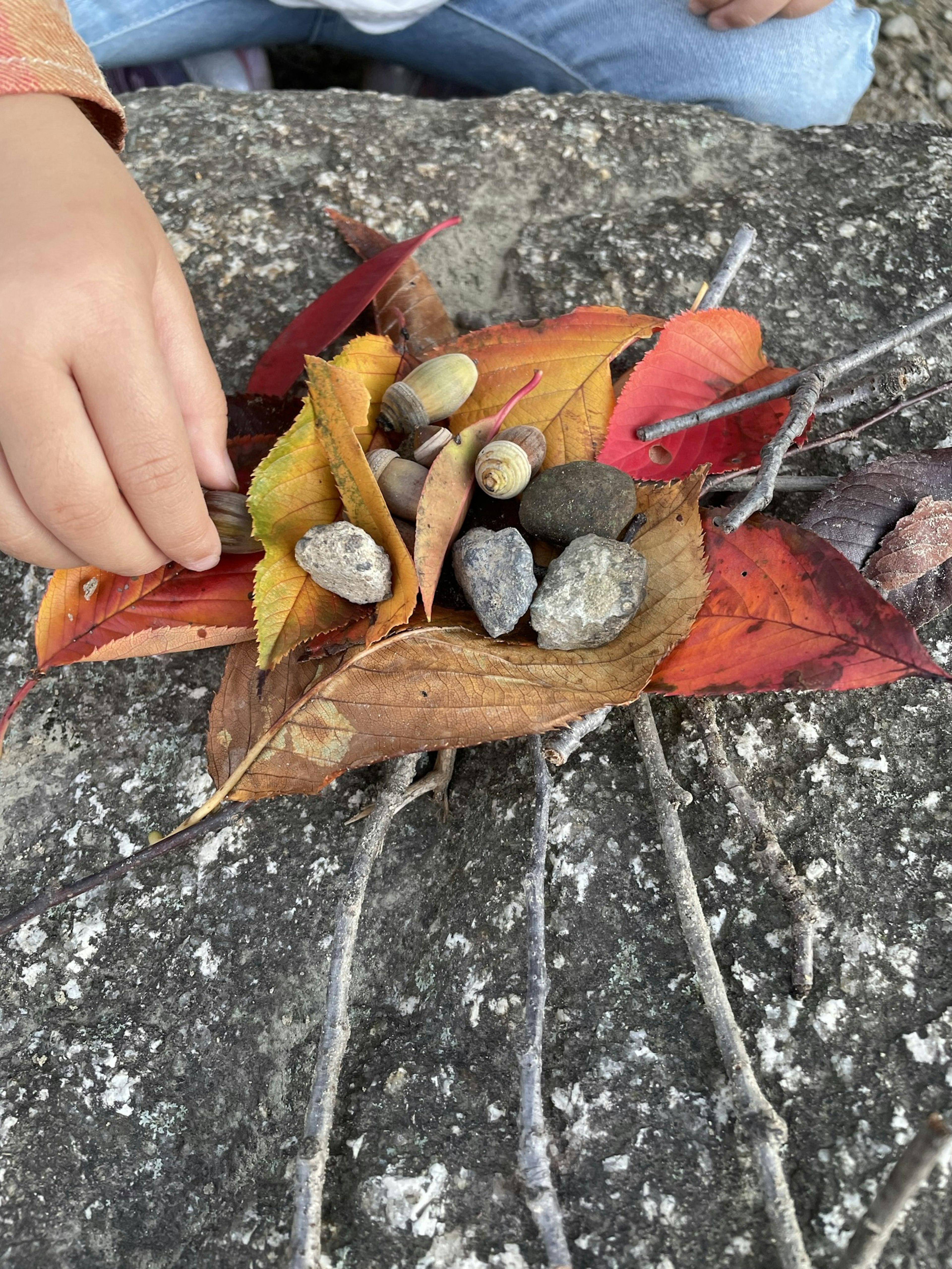 Mano de un niño organizando hojas coloridas y piedras en una creación artística natural