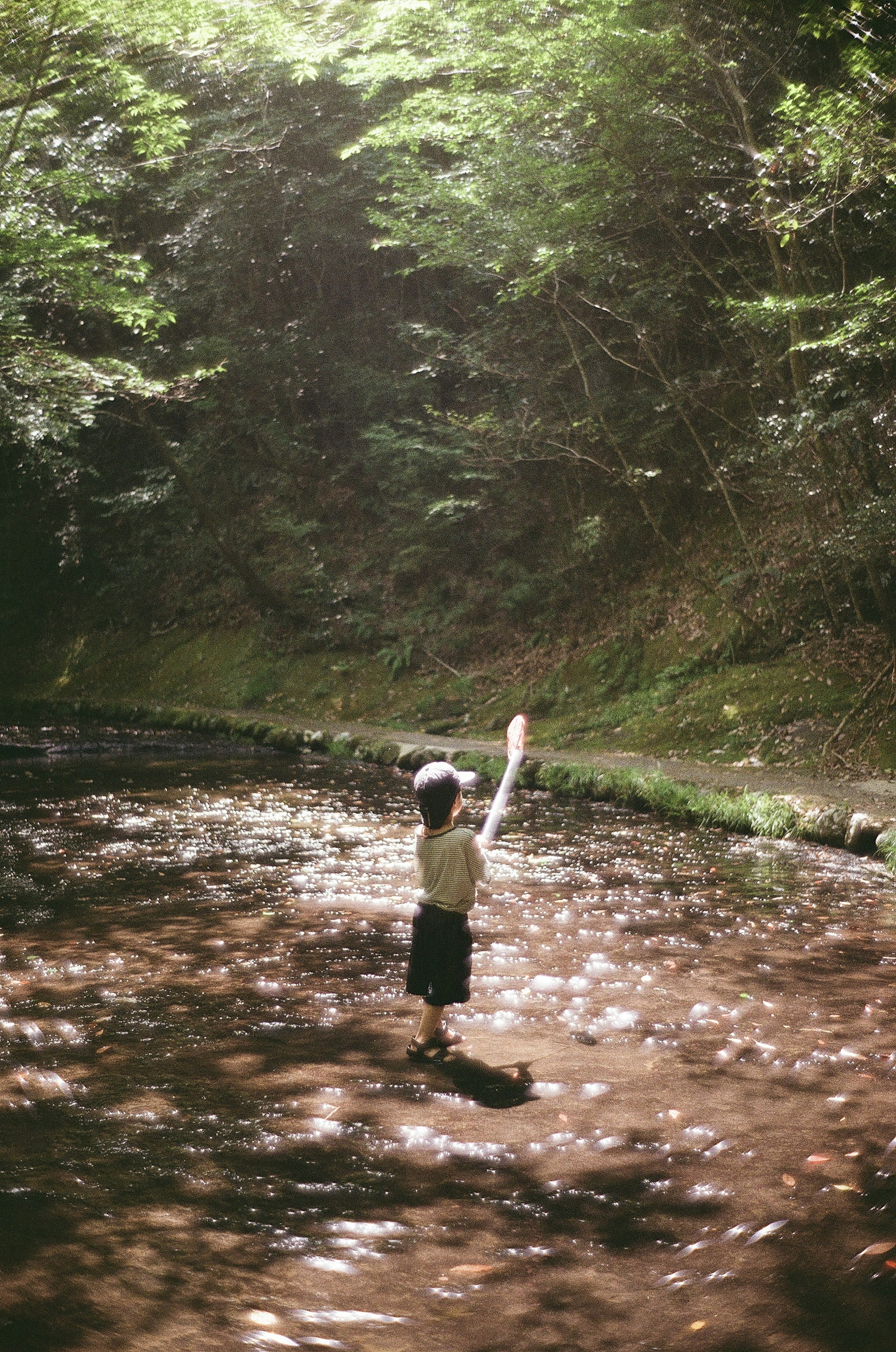 Un niño levantando la mano en un río tranquilo rodeado de naturaleza