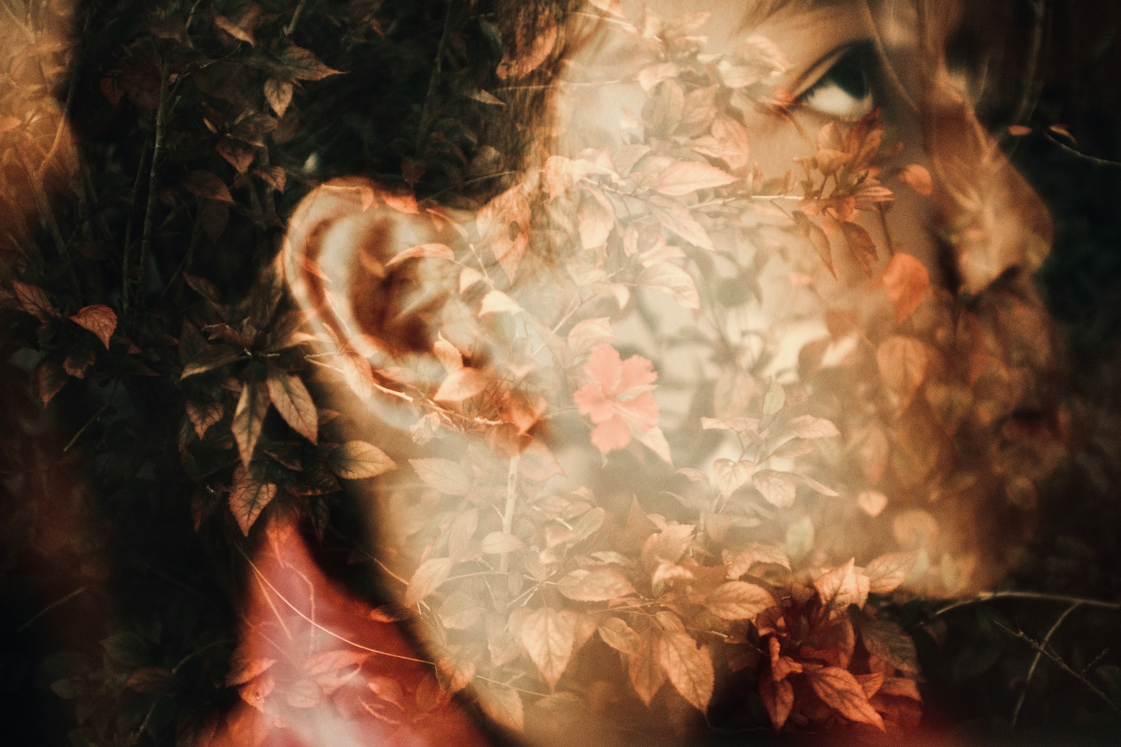 Profil d'un visage superposé avec des feuilles et des fleurs