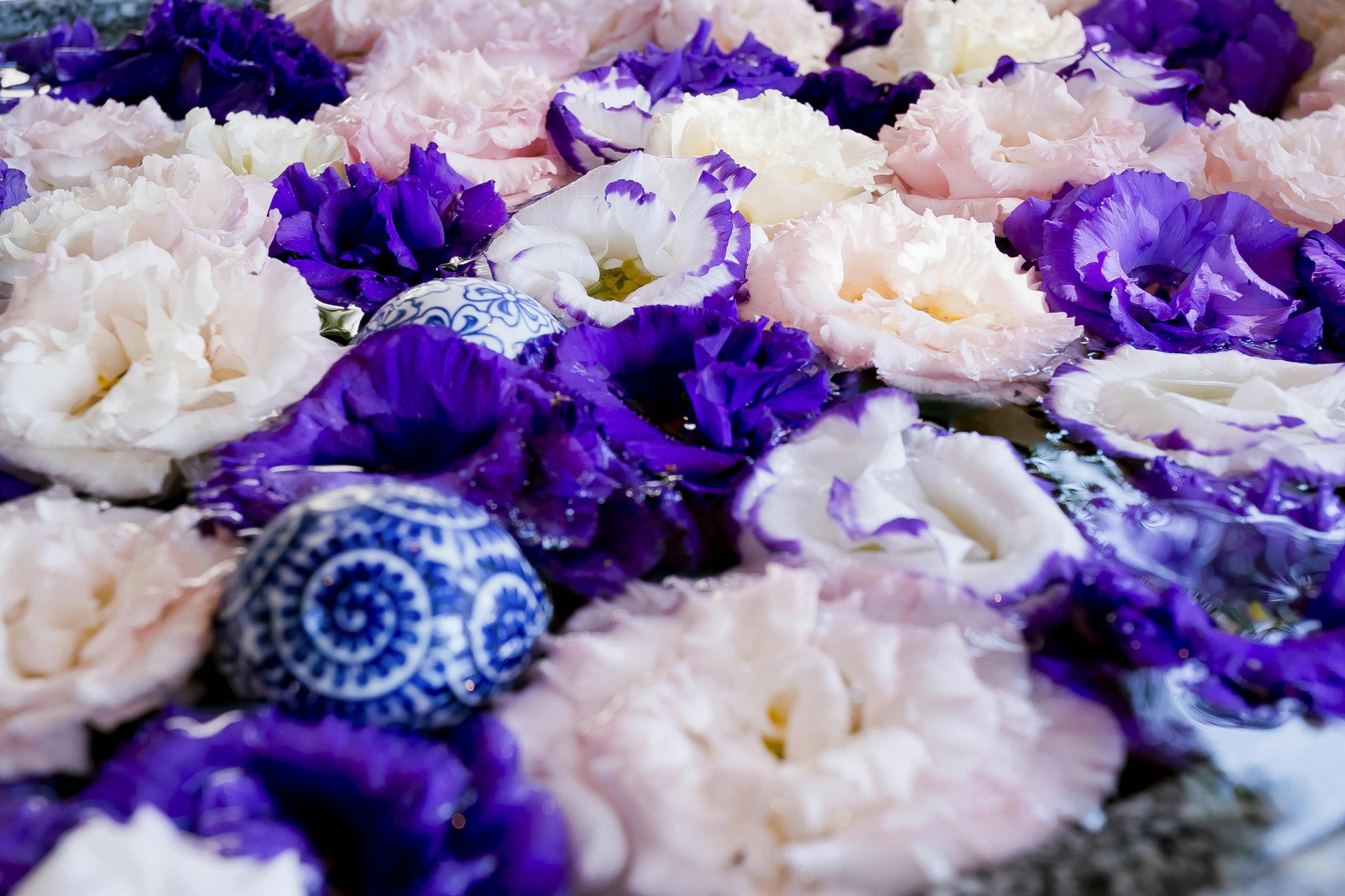 Hermoso arreglo de pétalos de flores moradas y rosas flotando