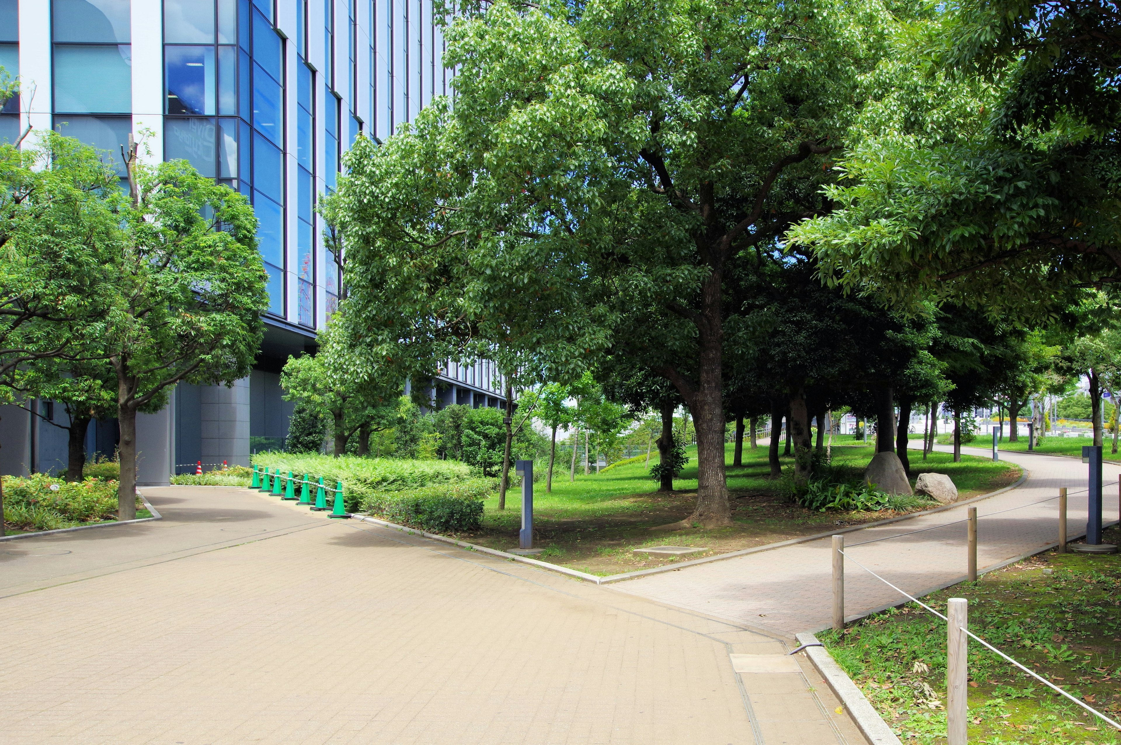 Pathway in a green park beside a modern building