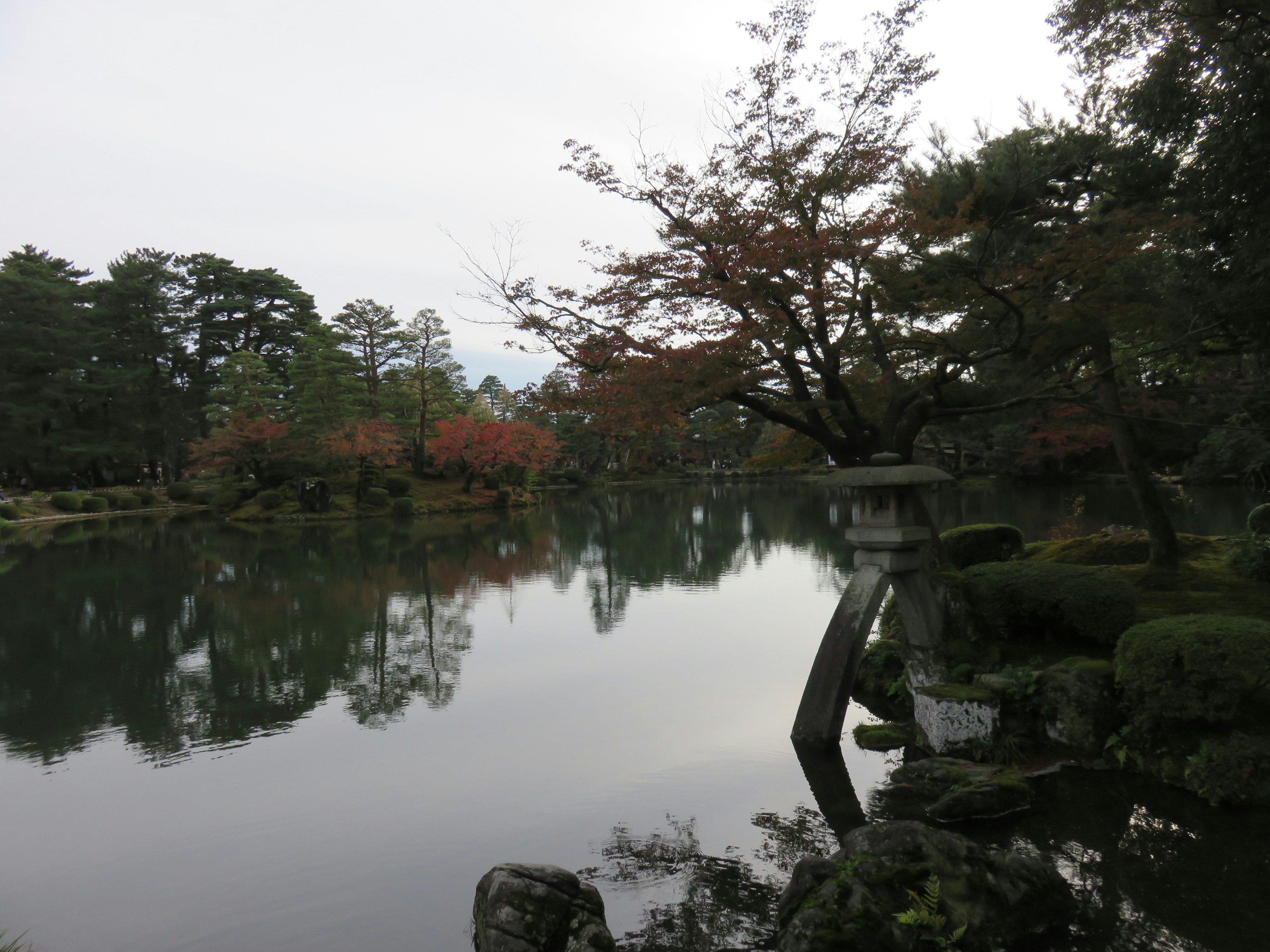 Serene pond scene with colorful trees reflecting