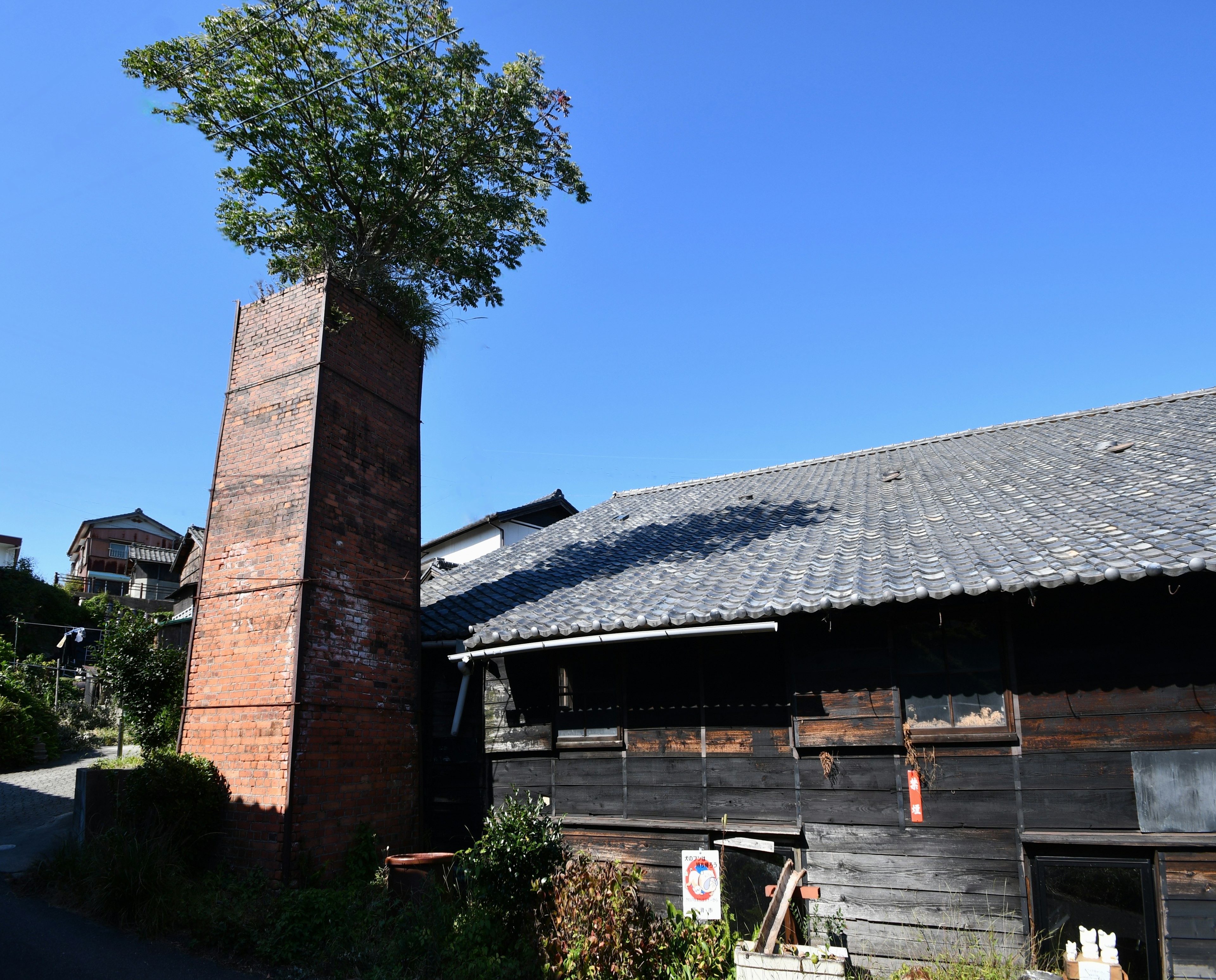 Vecchia casa di legno con un albero che cresce da un camino in mattoni rossi