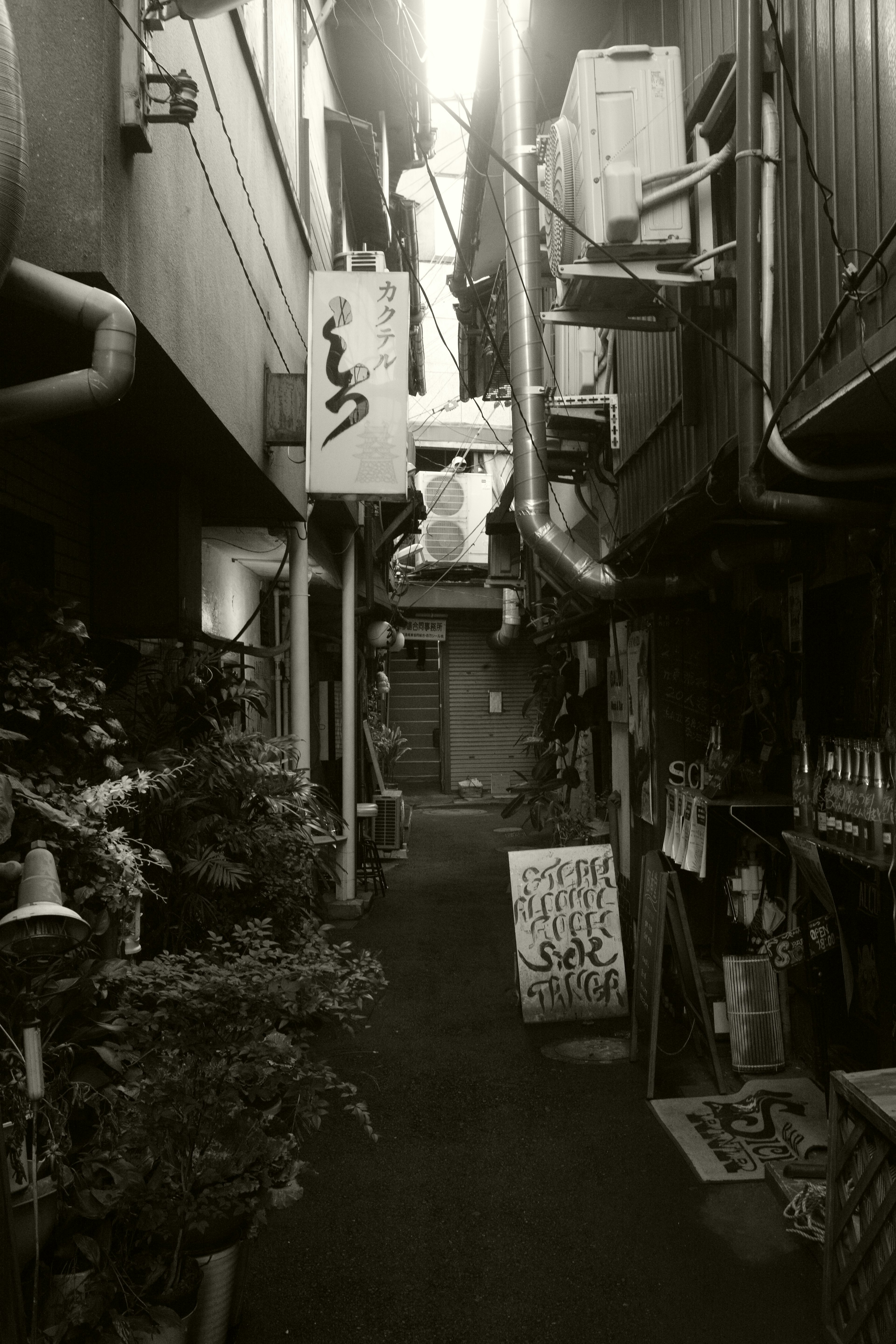 狭い路地にある飲食店の看板と植物が並ぶ風景