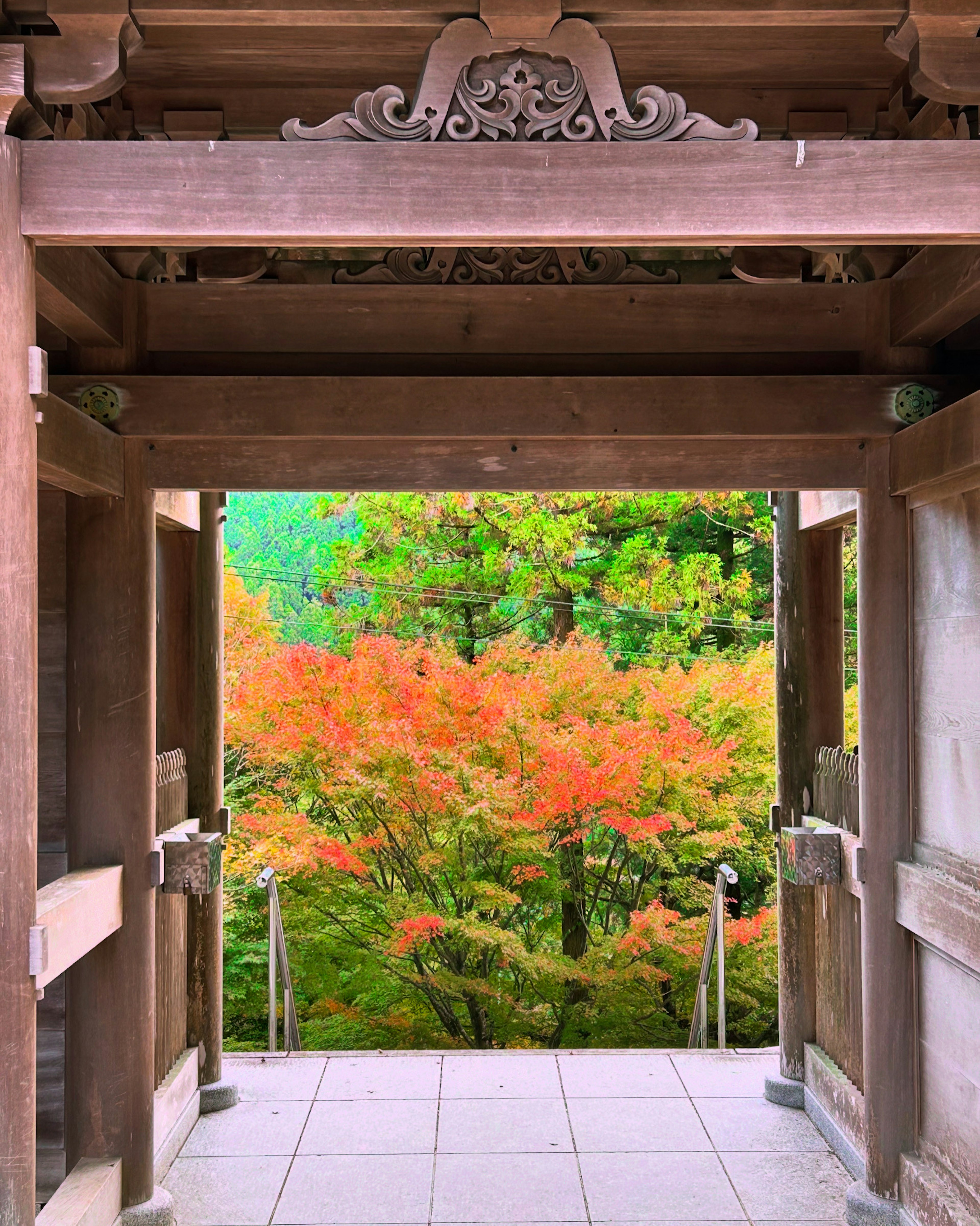 秋の紅葉が見える木造の門のアーチ