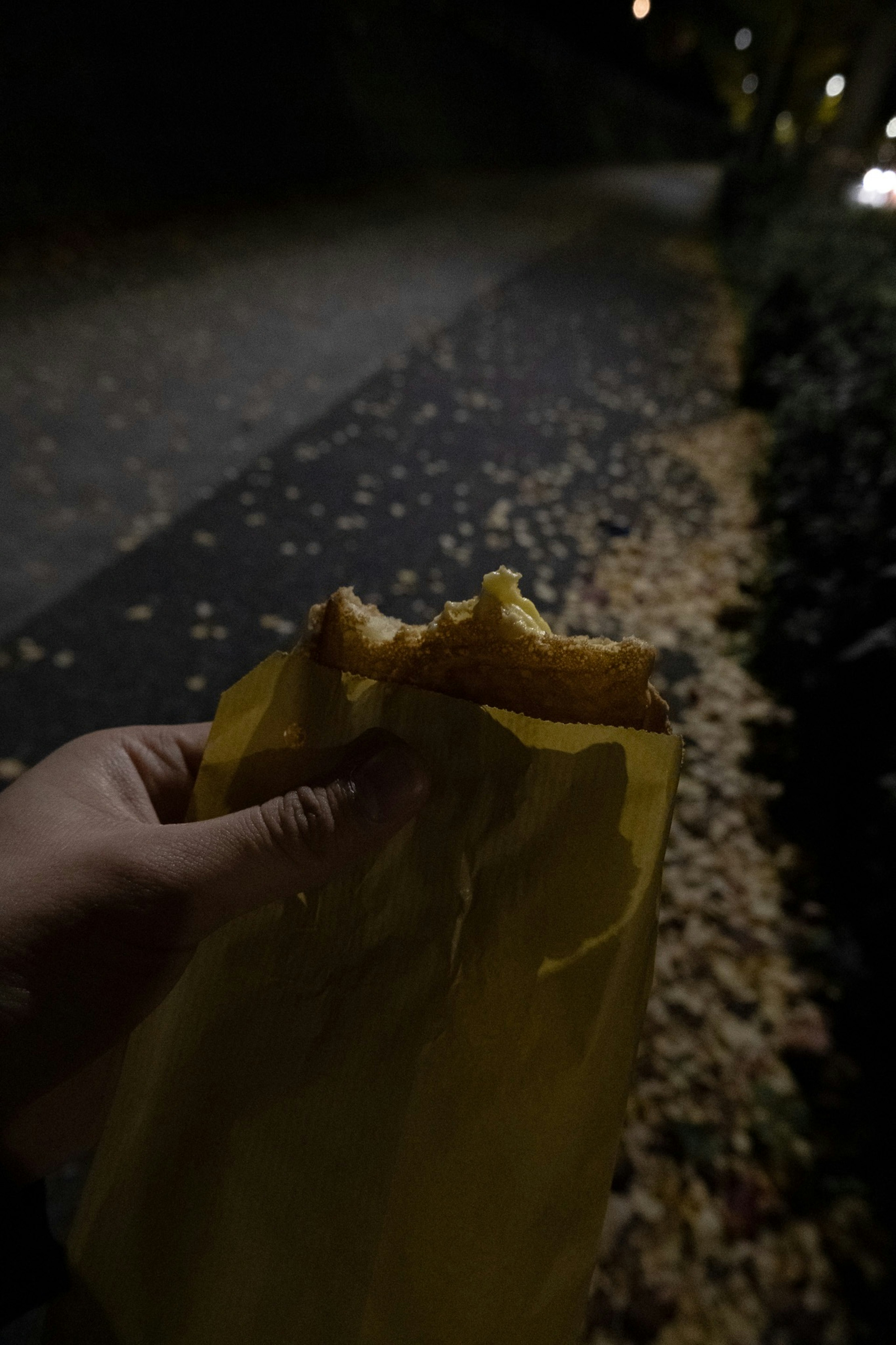 Mano sosteniendo un alimento en una bolsa amarilla durante un paseo nocturno