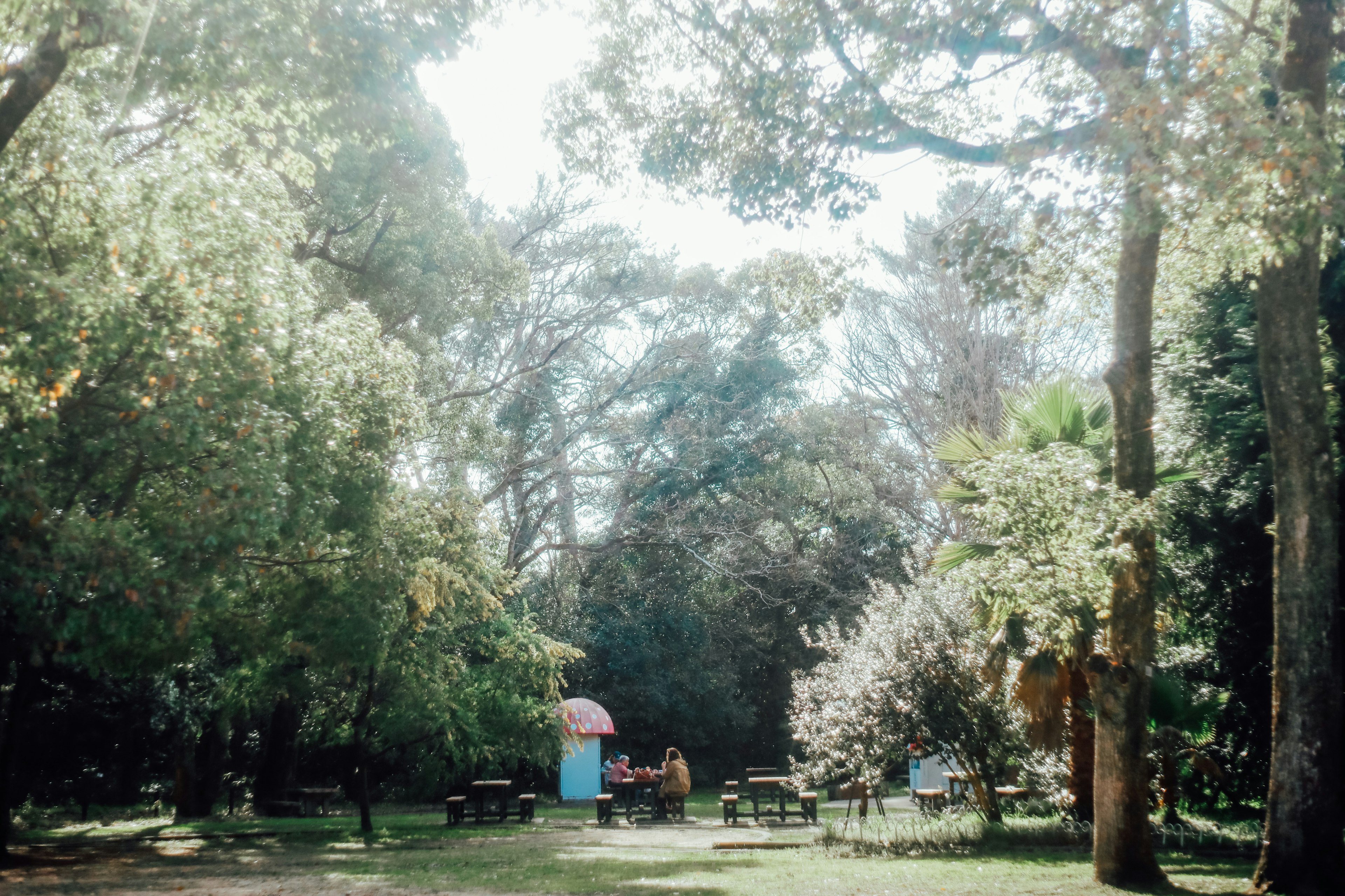 Una escena de un parque exuberante con personas disfrutando al aire libre y árboles