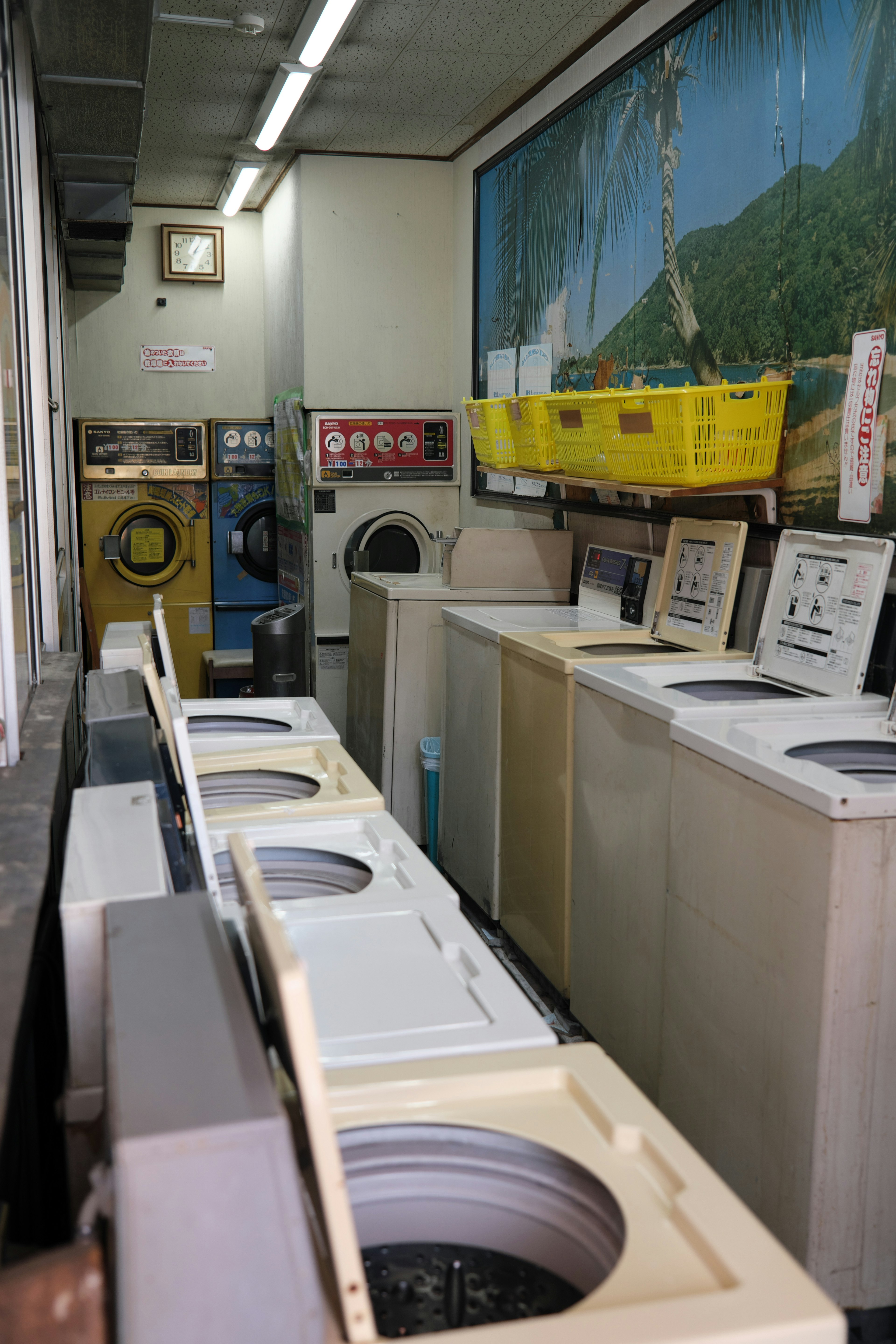 Interior of a laundromat featuring rows of washing machines and dryers with a mountain mural in the background