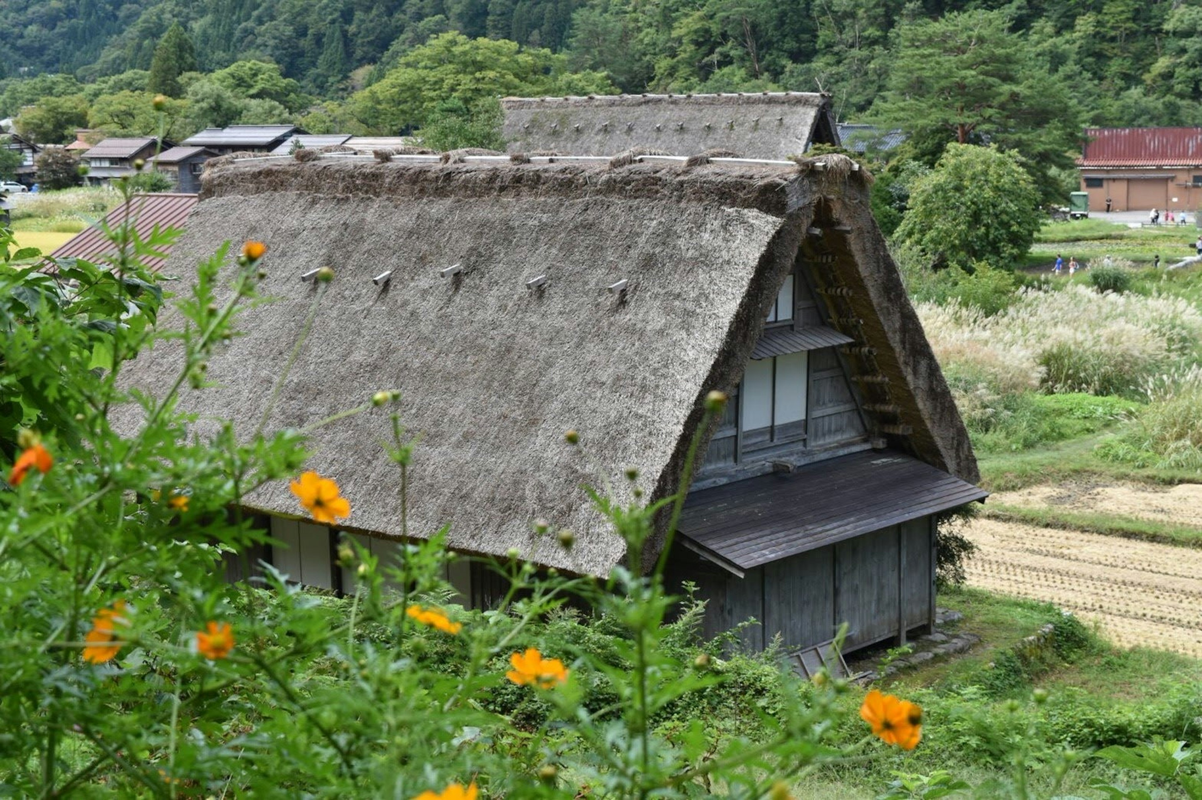 伝統的な合掌造りの家と周囲の自然の風景