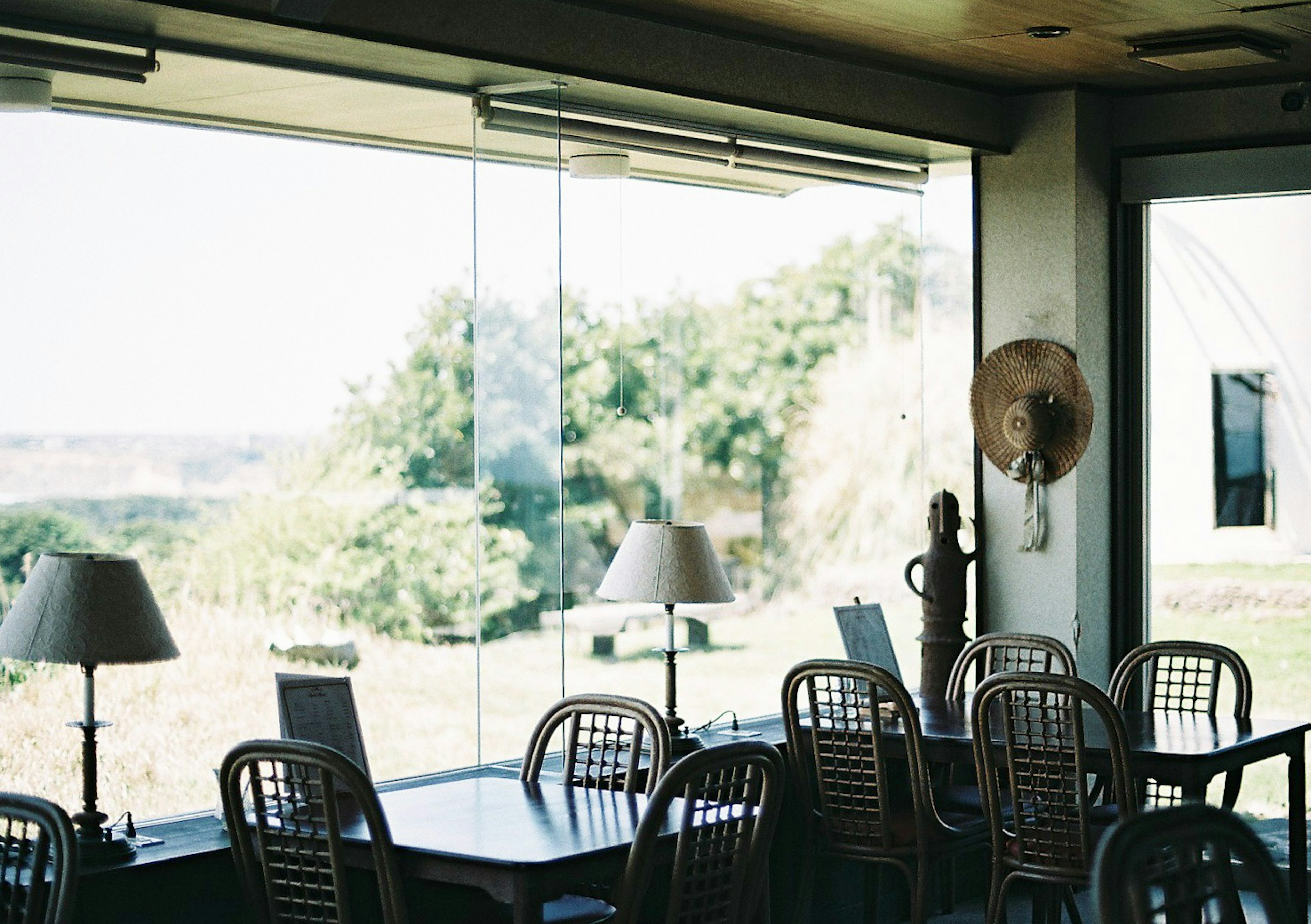 Interior de una cafetería con grandes ventanas brillantes que presentan mesas y sillas con vista a la vegetación