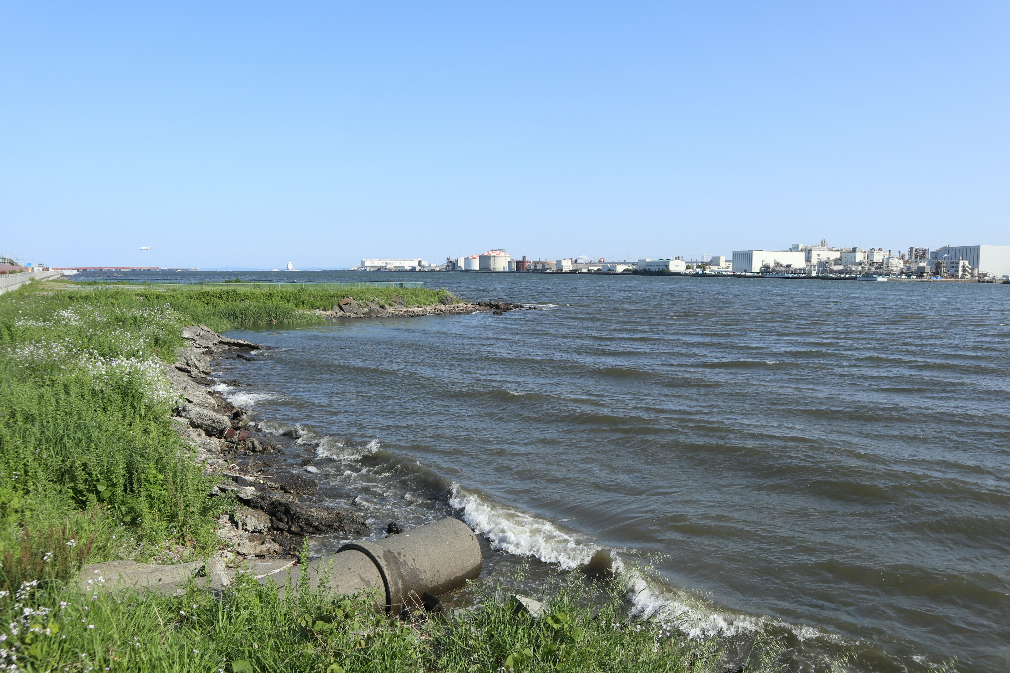 Garis pantai yang indah dengan air tenang dan langit biru menampilkan rumput hijau dan gelombang lembut