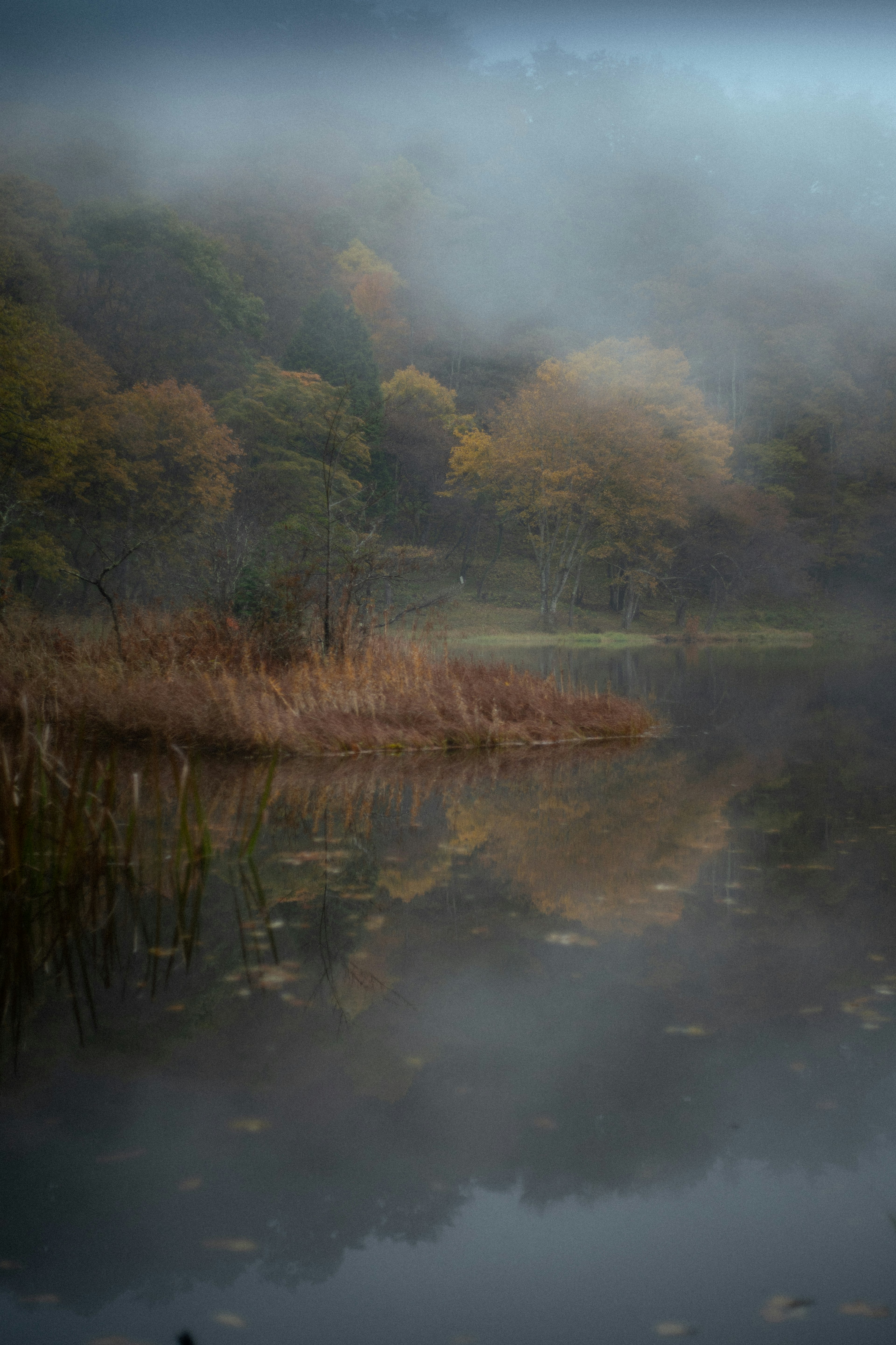 霧の中の静かな湖と秋の木々の反映