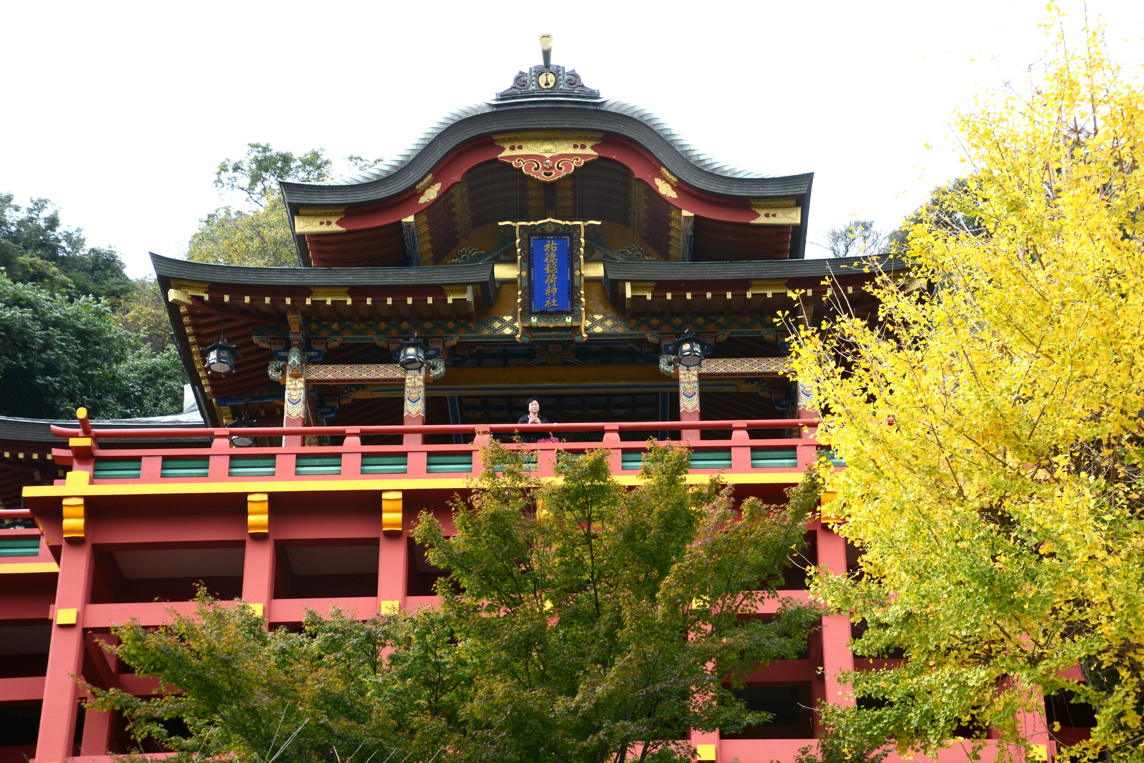 Hermoso techo de templo japonés con árboles de otoño