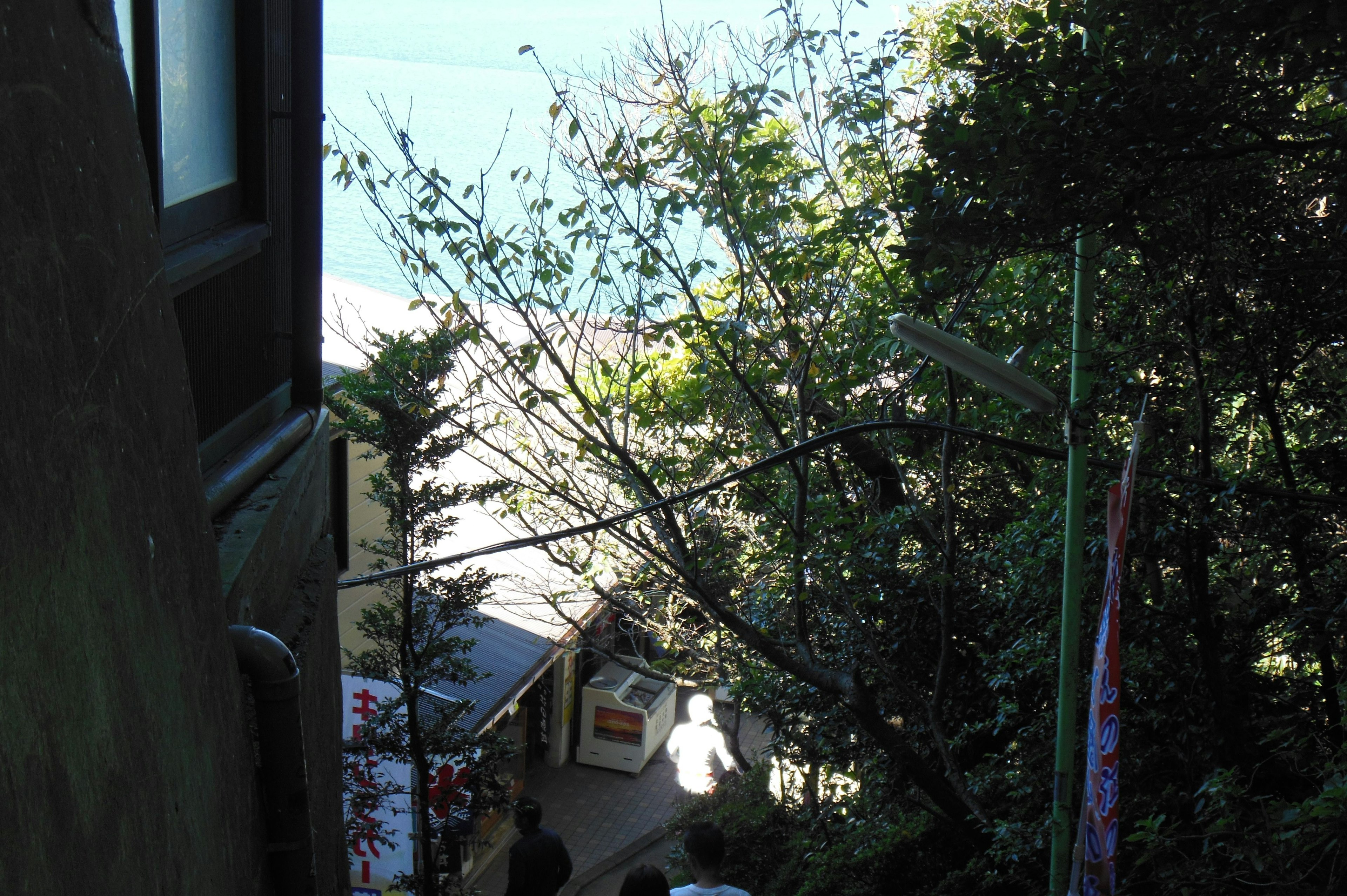 People descending a staircase with a view of the sea and greenery