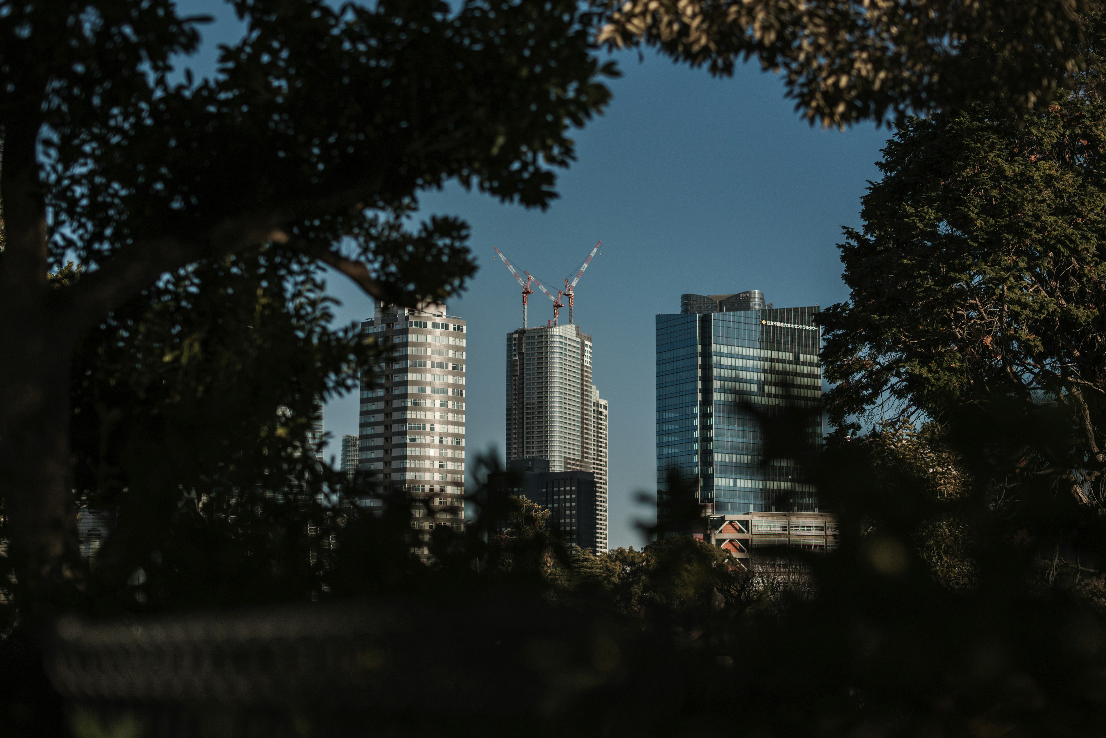 城市風景，摩天大樓和起重機在晴空下