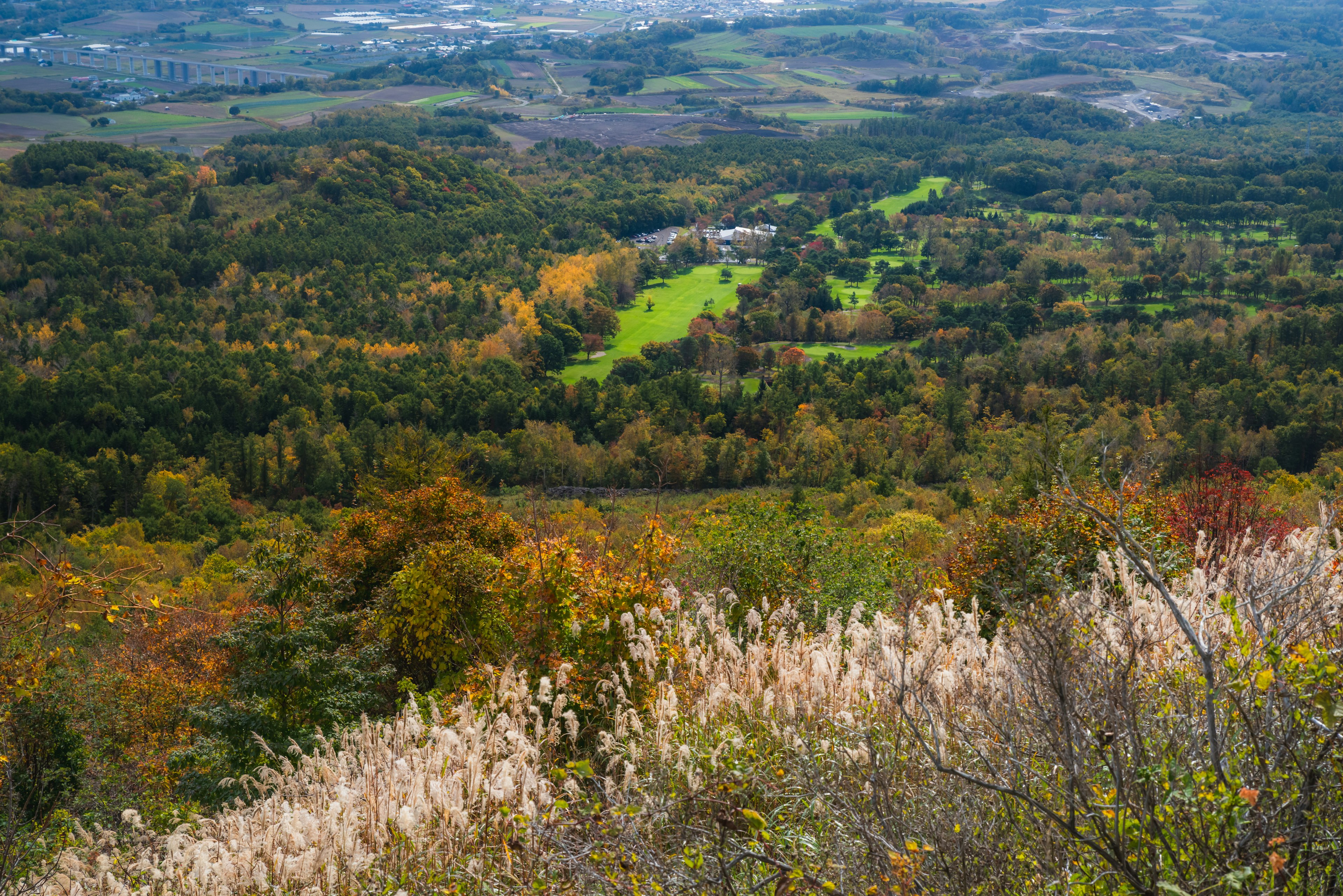 Scenic autumn landscape from a mountain peak featuring green fields and colorful trees