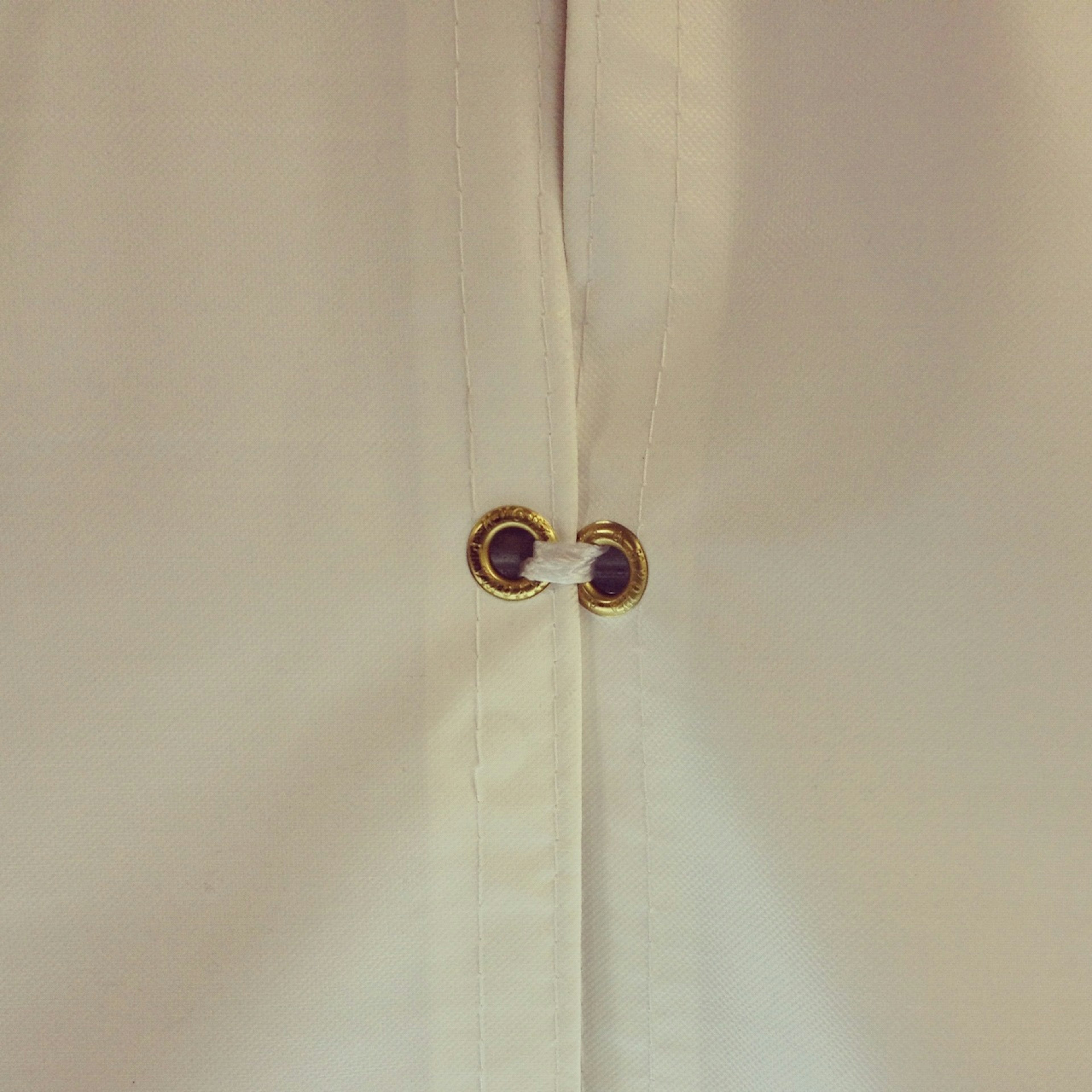 Close-up of a white shirt button featuring gold accents