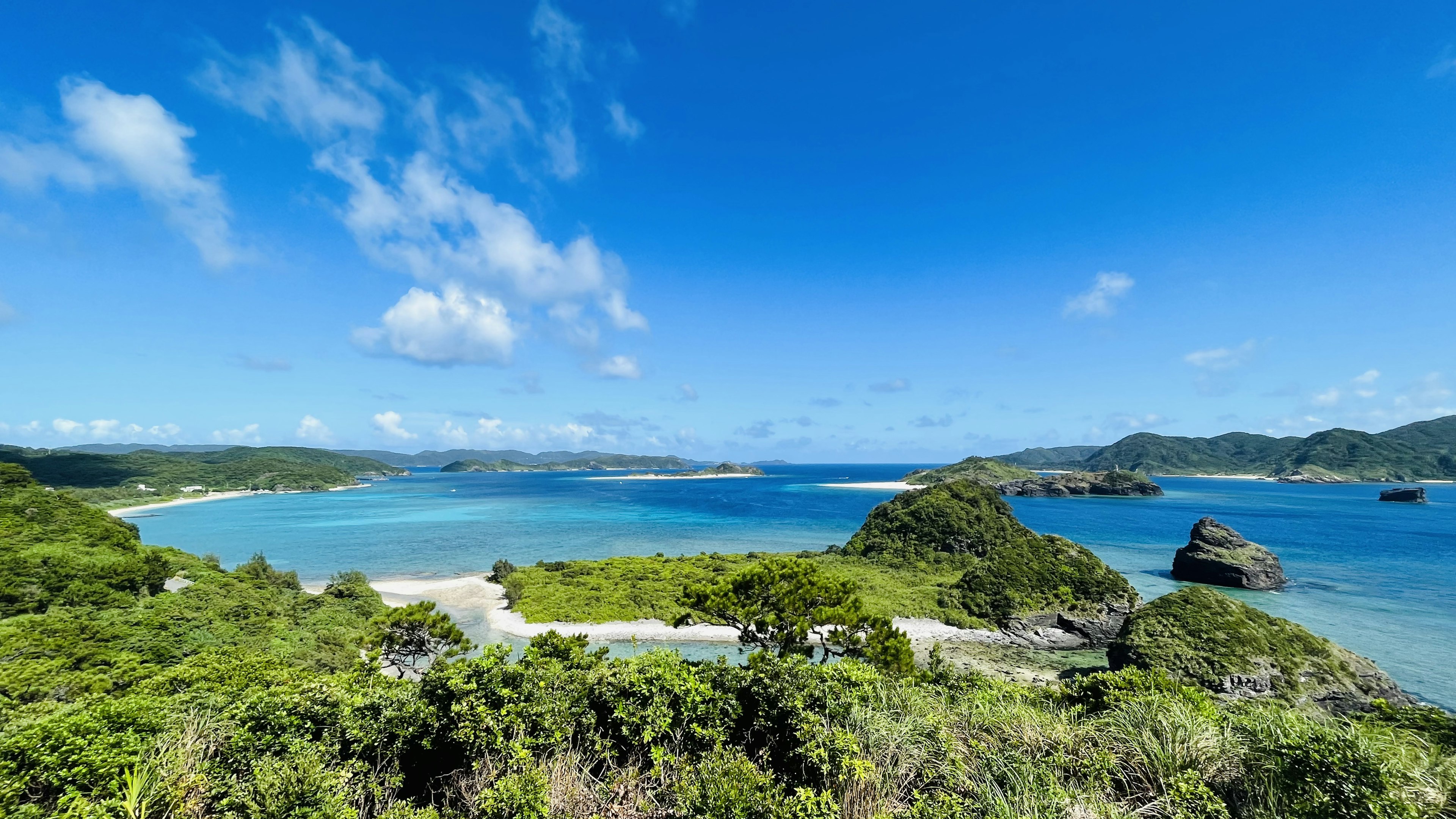 青い海と青空が広がる美しい風景 緑の植物と岩のある海岸線